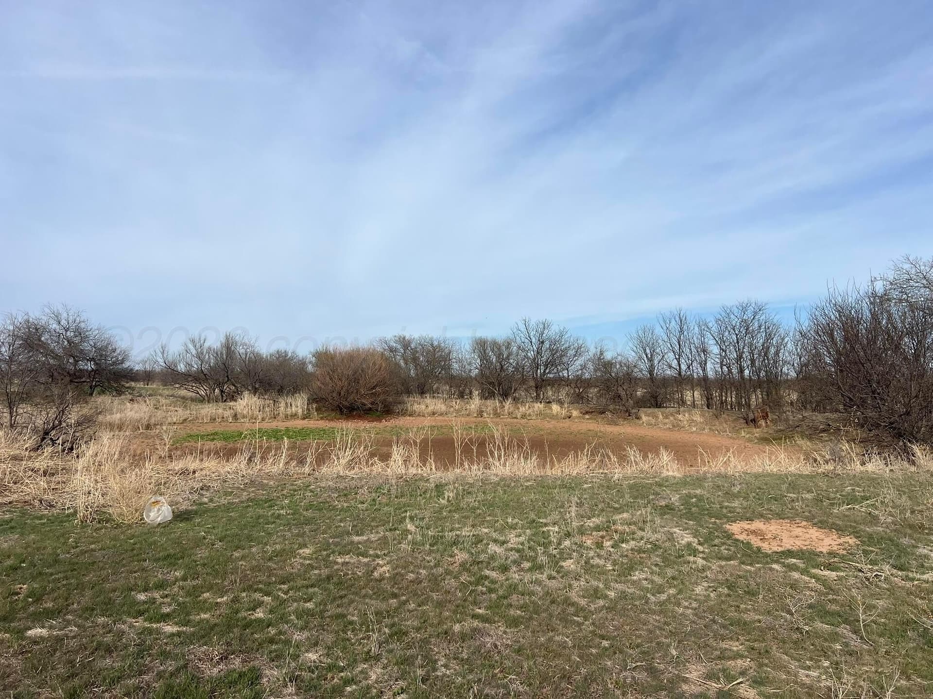 164 acres in Foard County - photo 12