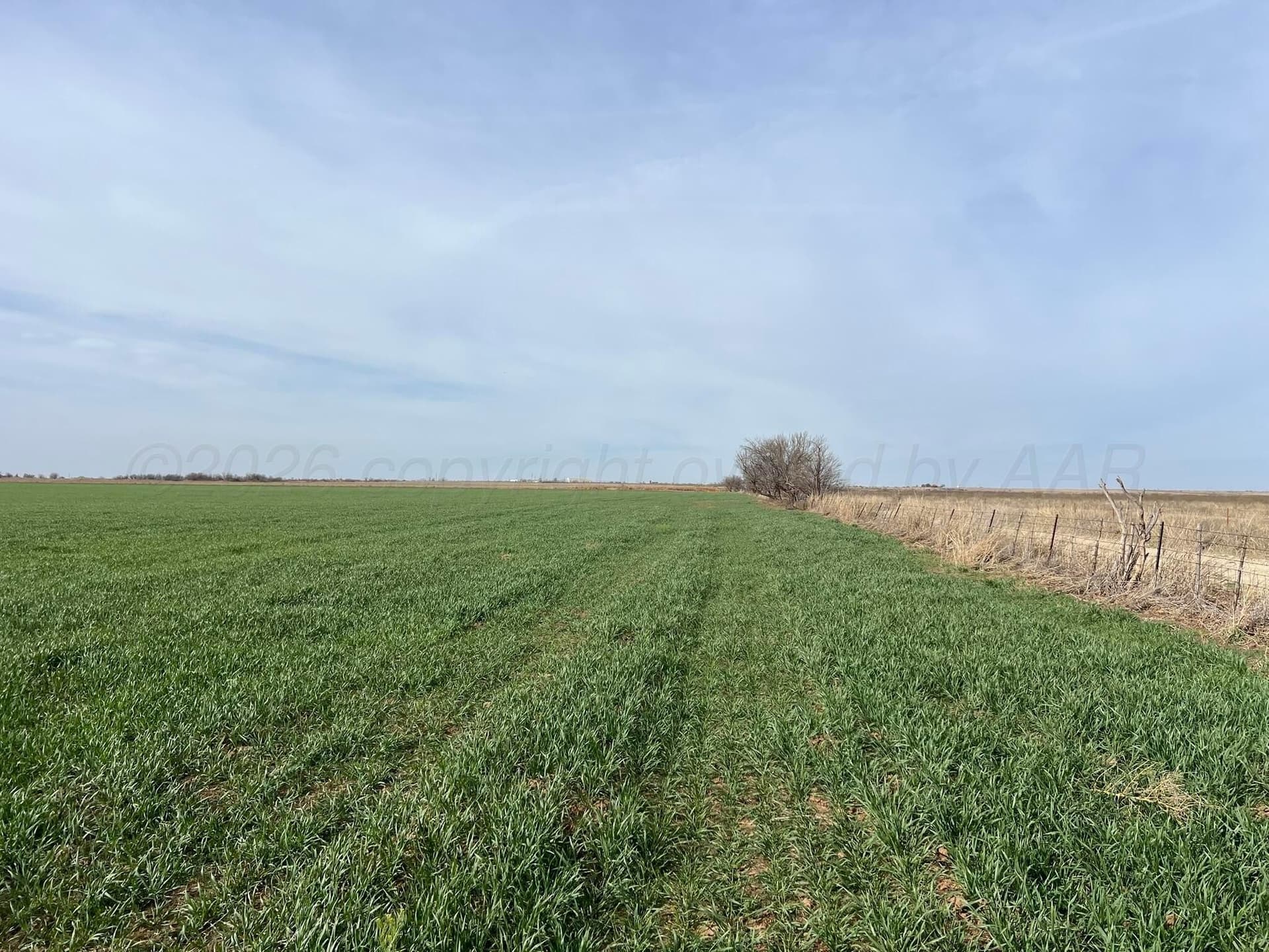 164 acres in Foard County - photo 17