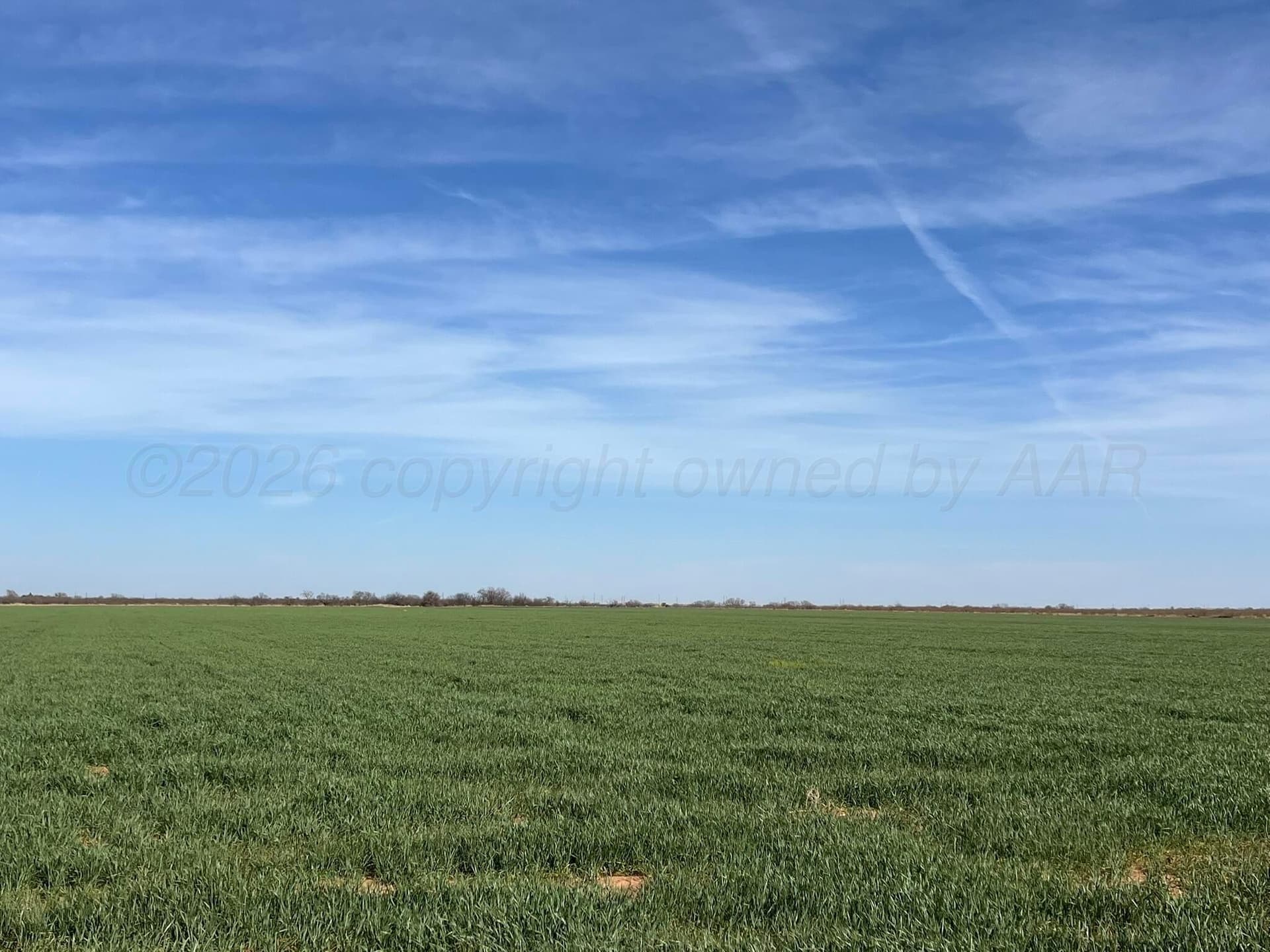 164 acres in Foard County featured view