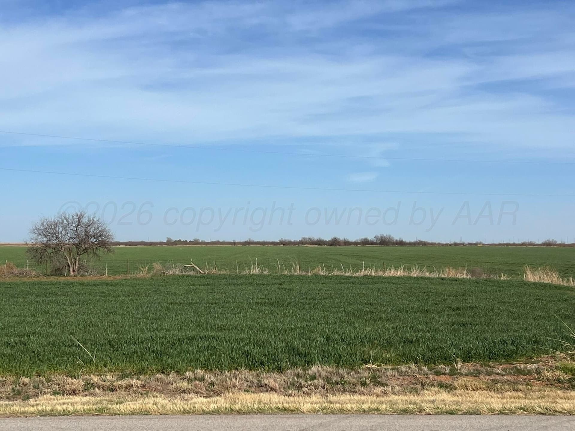 164 acres in Foard County gallery image 3