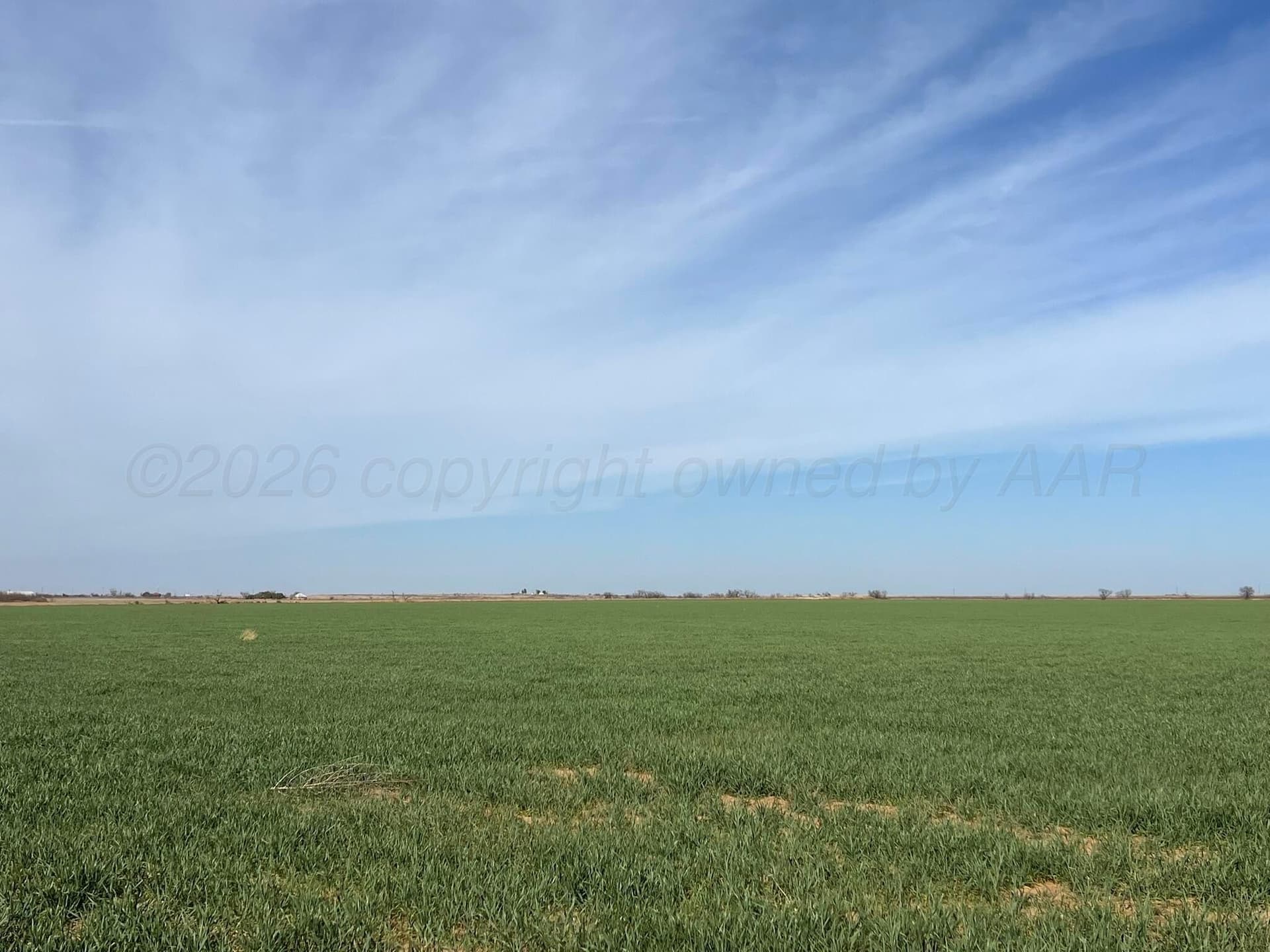 164 acres in Foard County gallery image 4