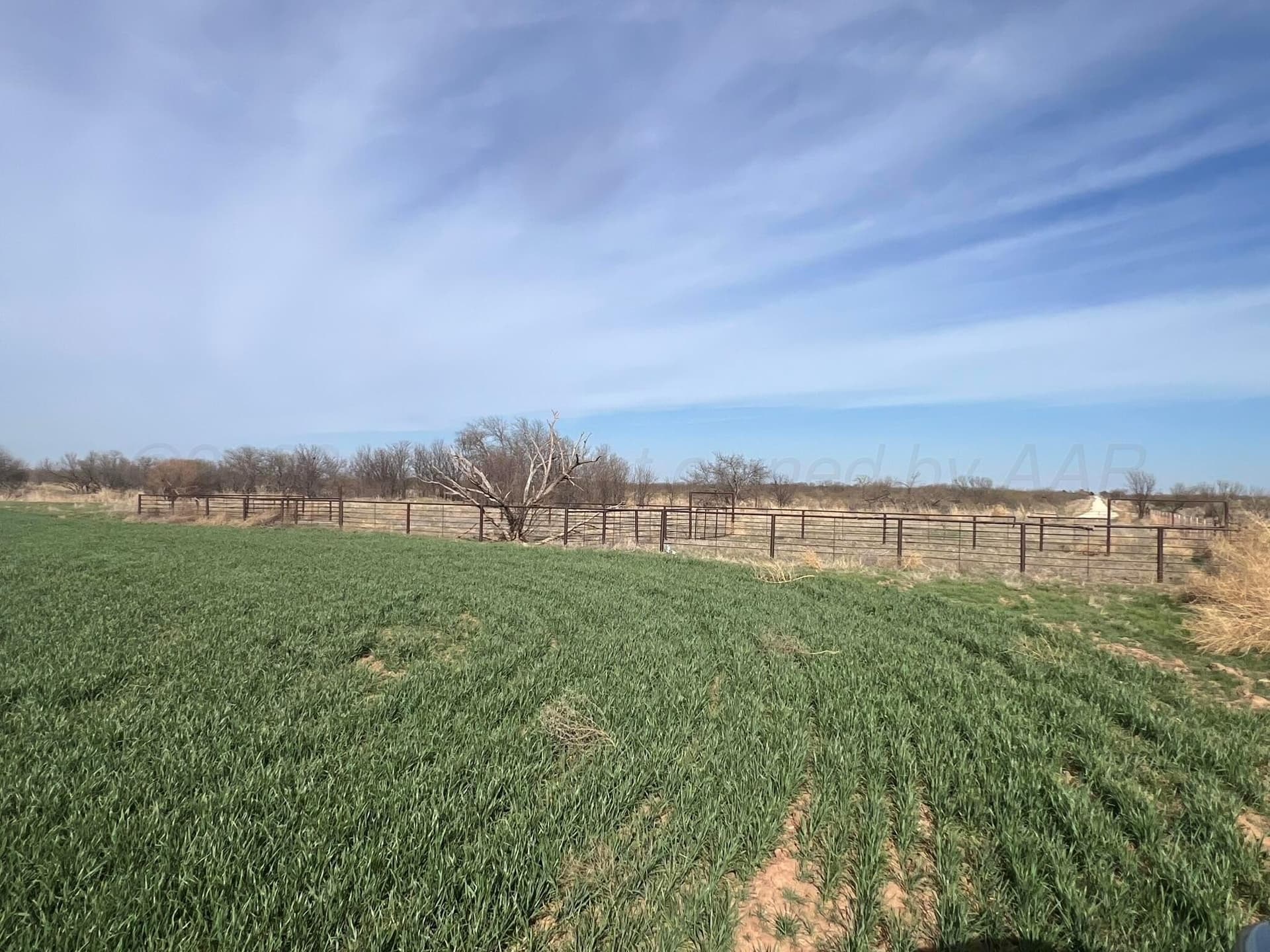 164 acres in Foard County - photo 11