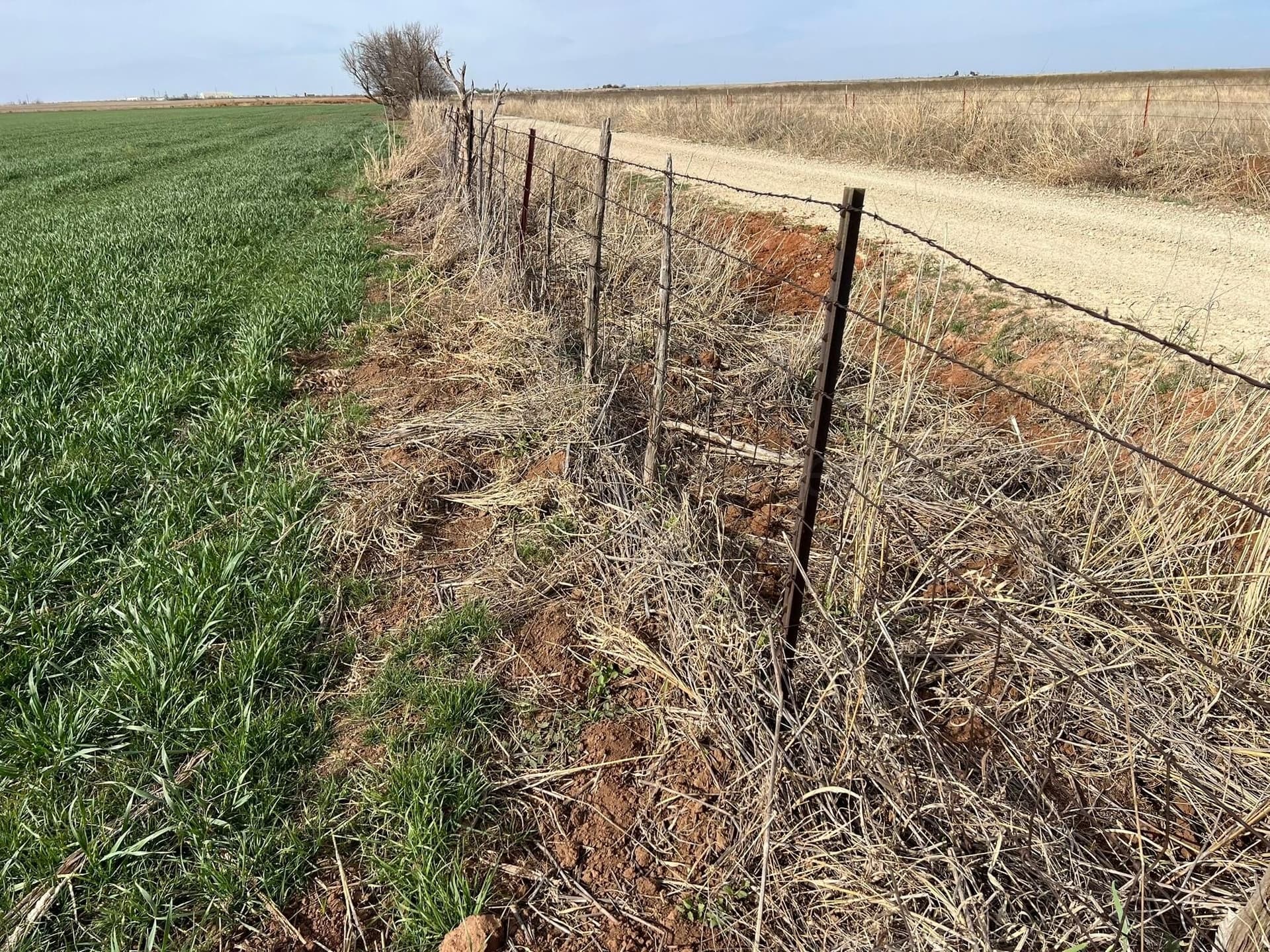 164 acres in Foard County - photo 18