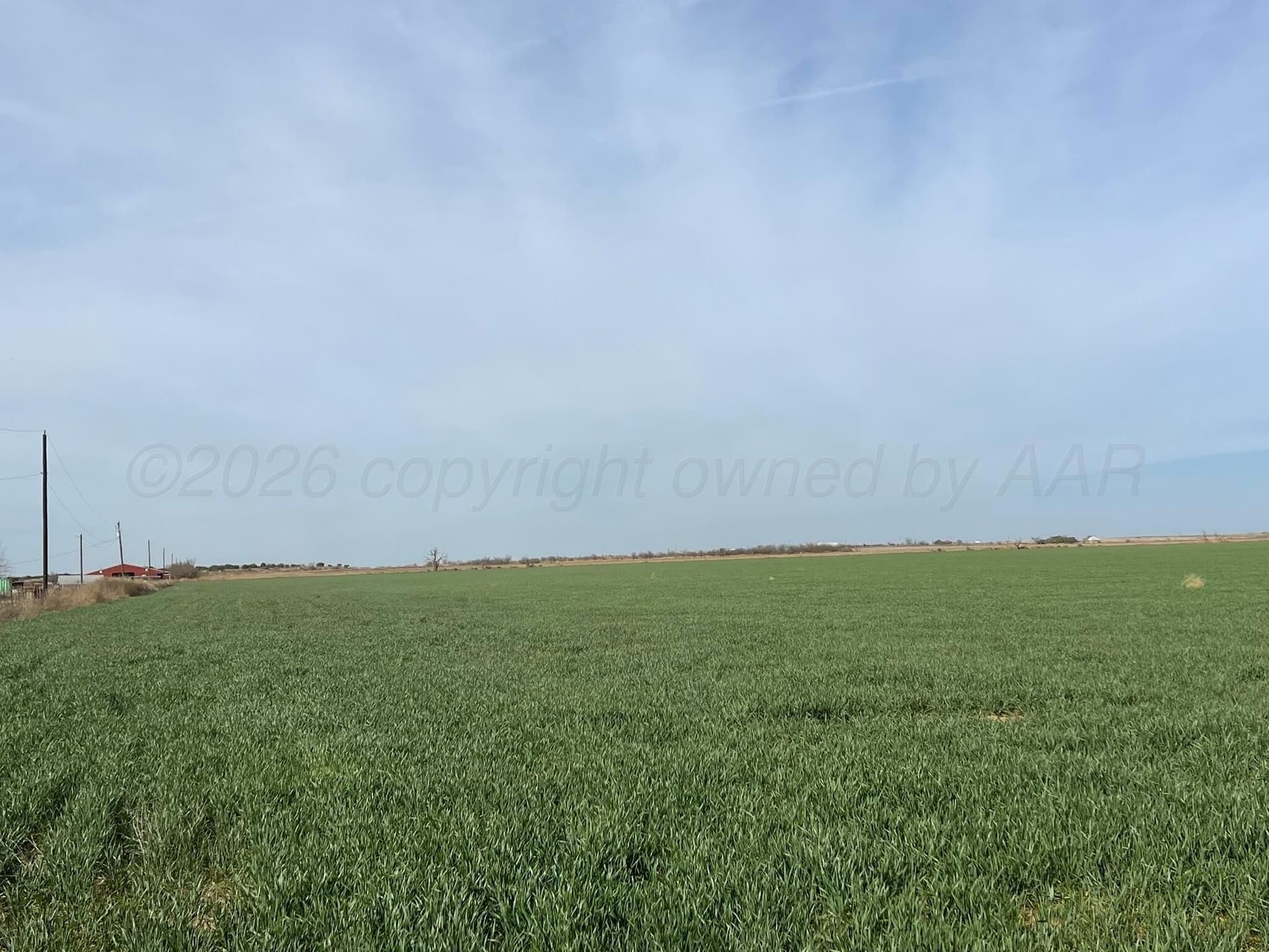 164 acres in Foard County - photo 7