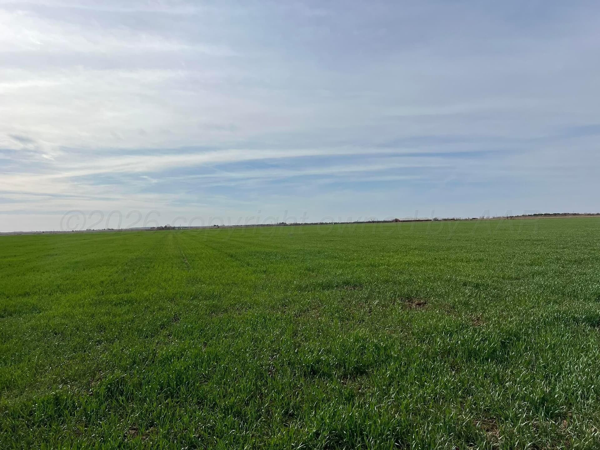 164 acres in Foard County - photo 16