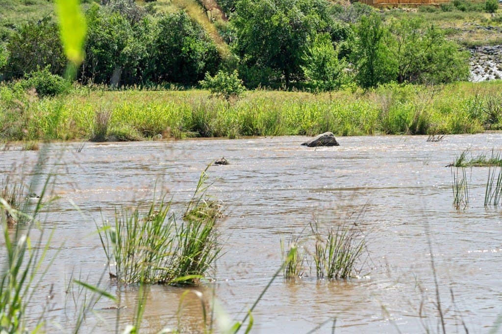 25 acres in Blanco County - photo 10