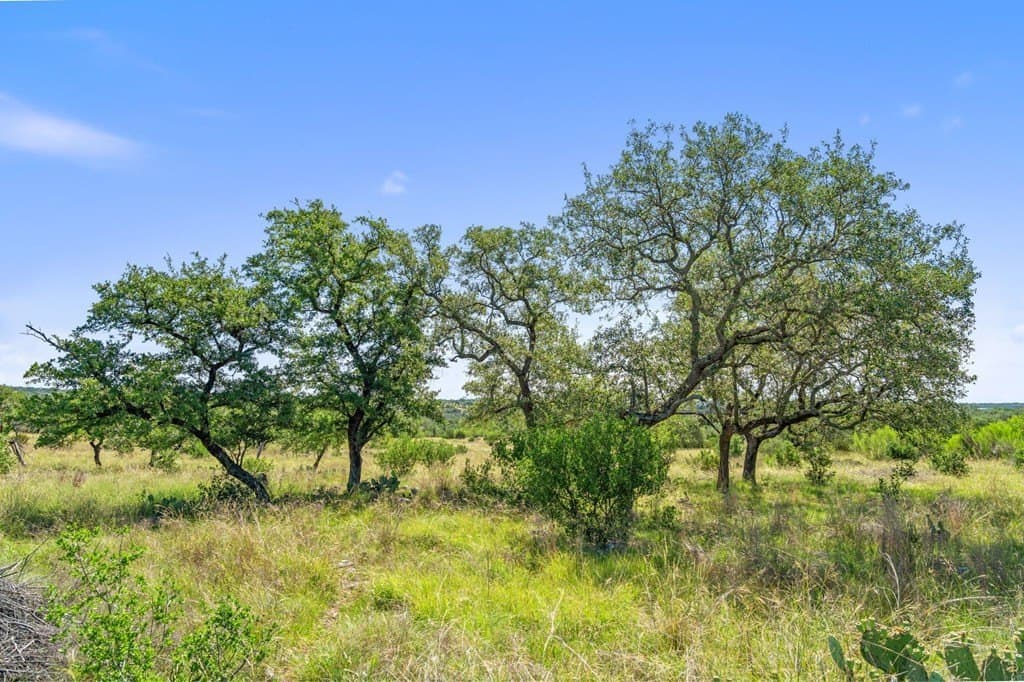 25 acres in Blanco County - photo 23