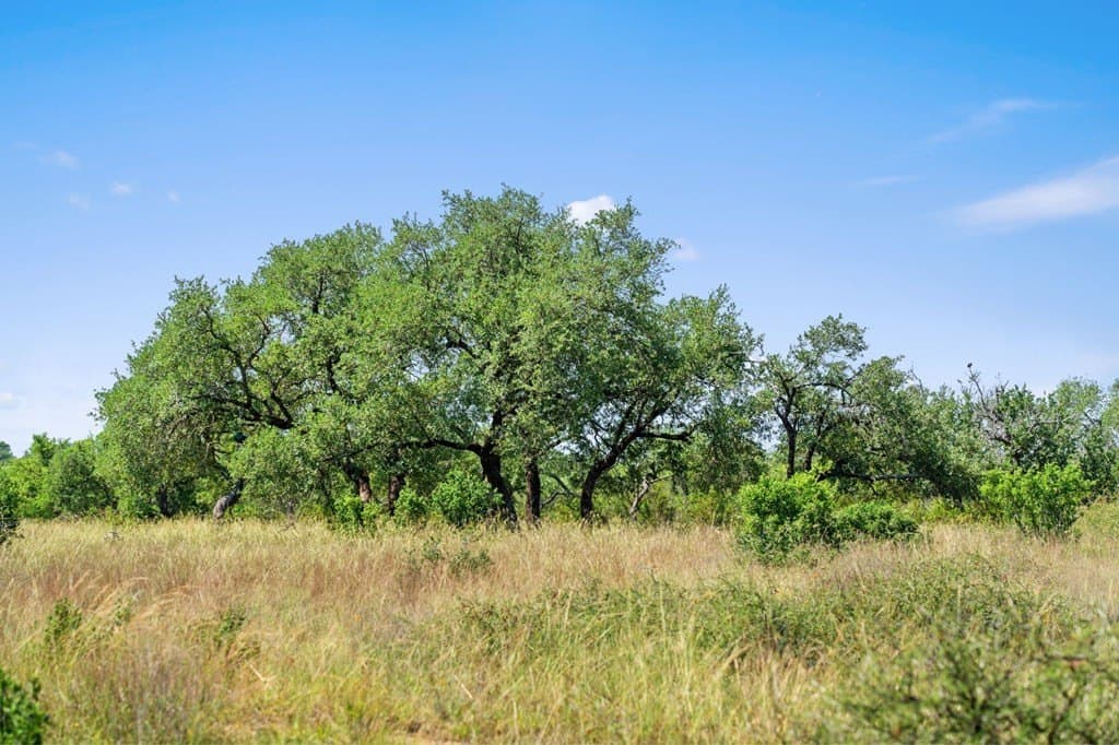 25 acres in Blanco County - photo 16