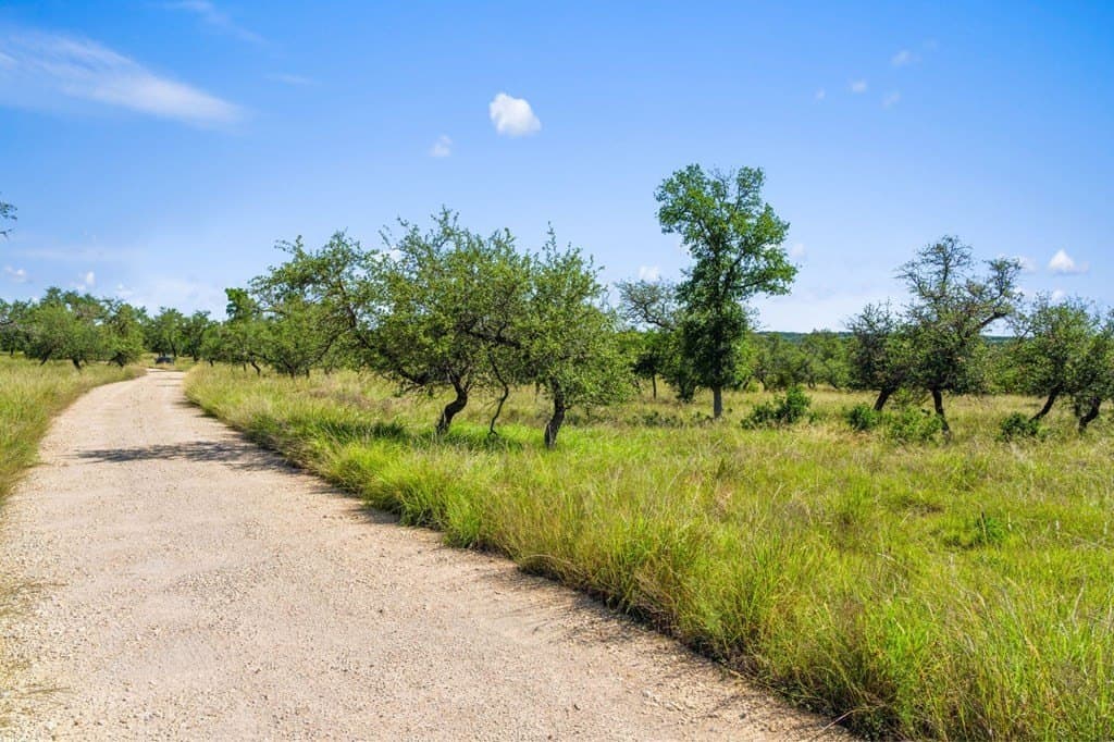 25 acres in Blanco County - photo 25