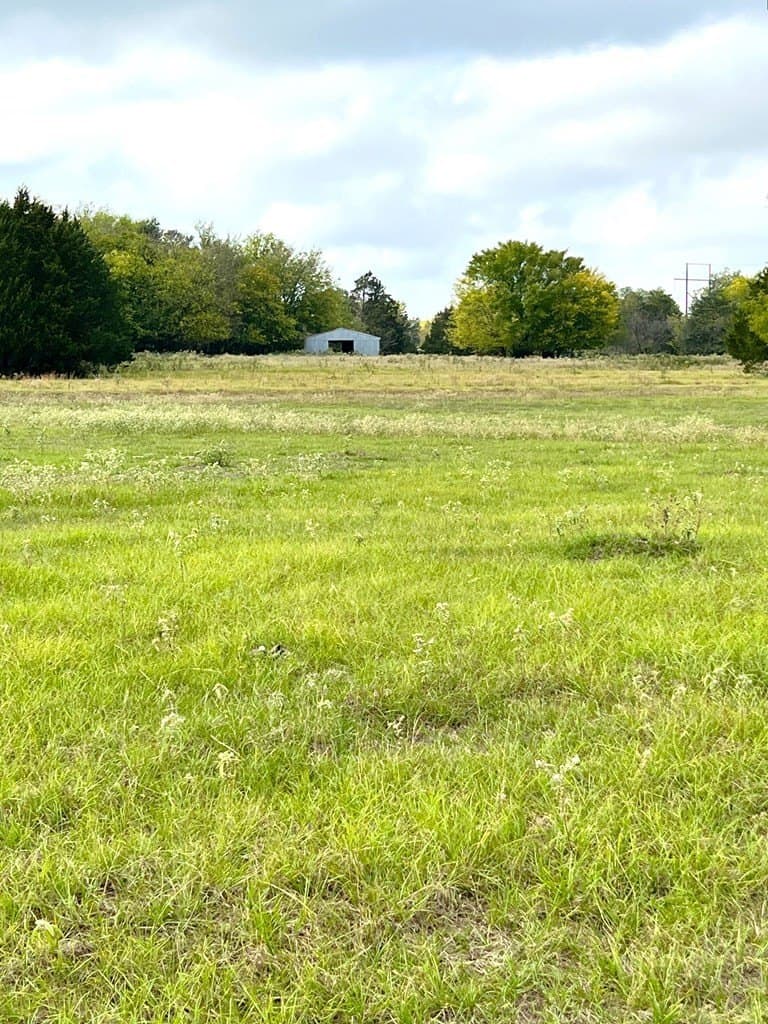 76.76 acres in Van Zandt County gallery image 3