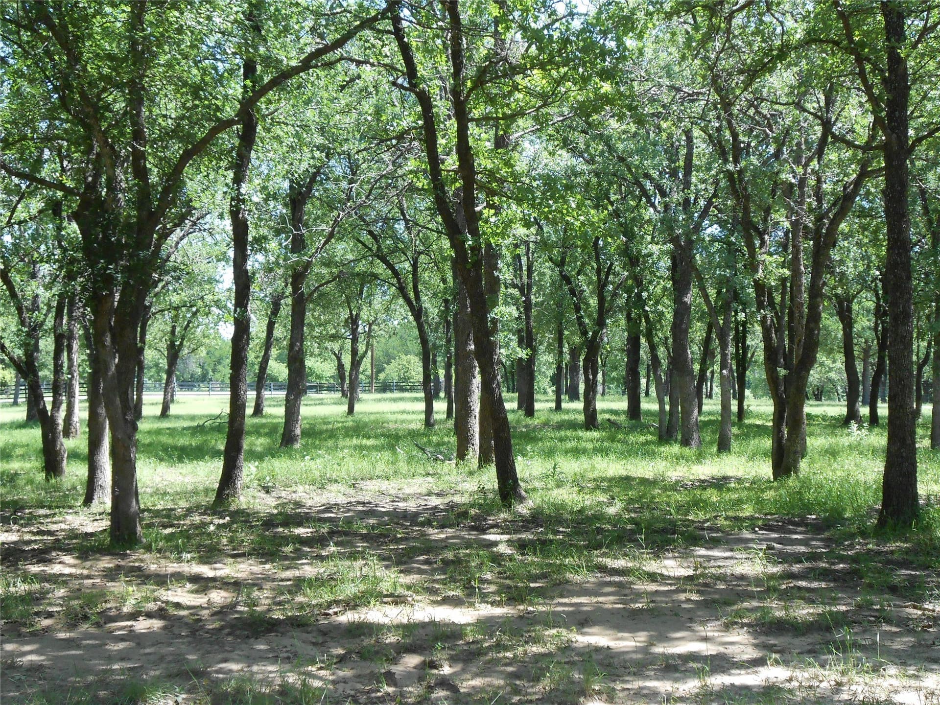 7.32 acres in Wise County - photo 2