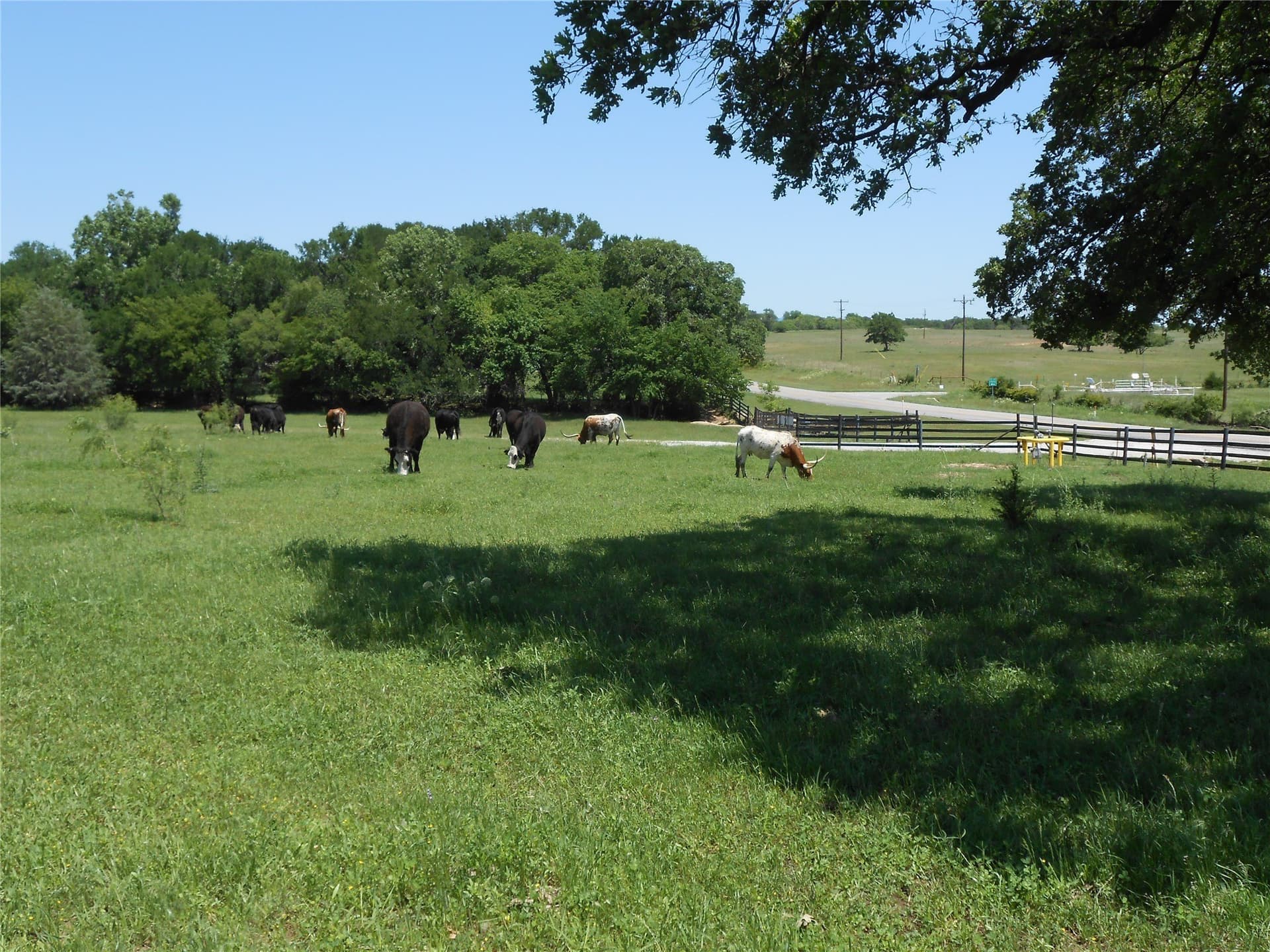 7.32 acres in Wise County - photo 7
