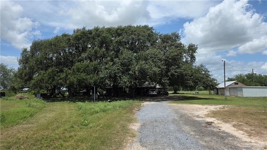 44 acres in Cameron County - photo 6