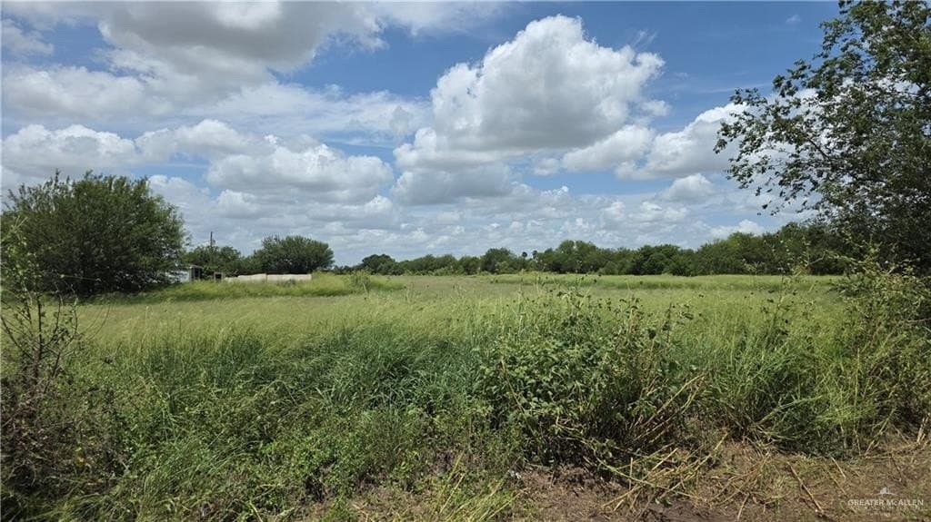 44 acres in Cameron County - photo 8
