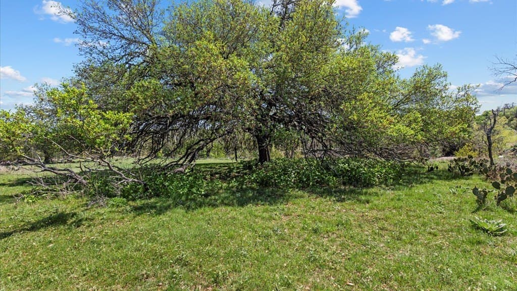 2.01 acres in Blanco County gallery image 3
