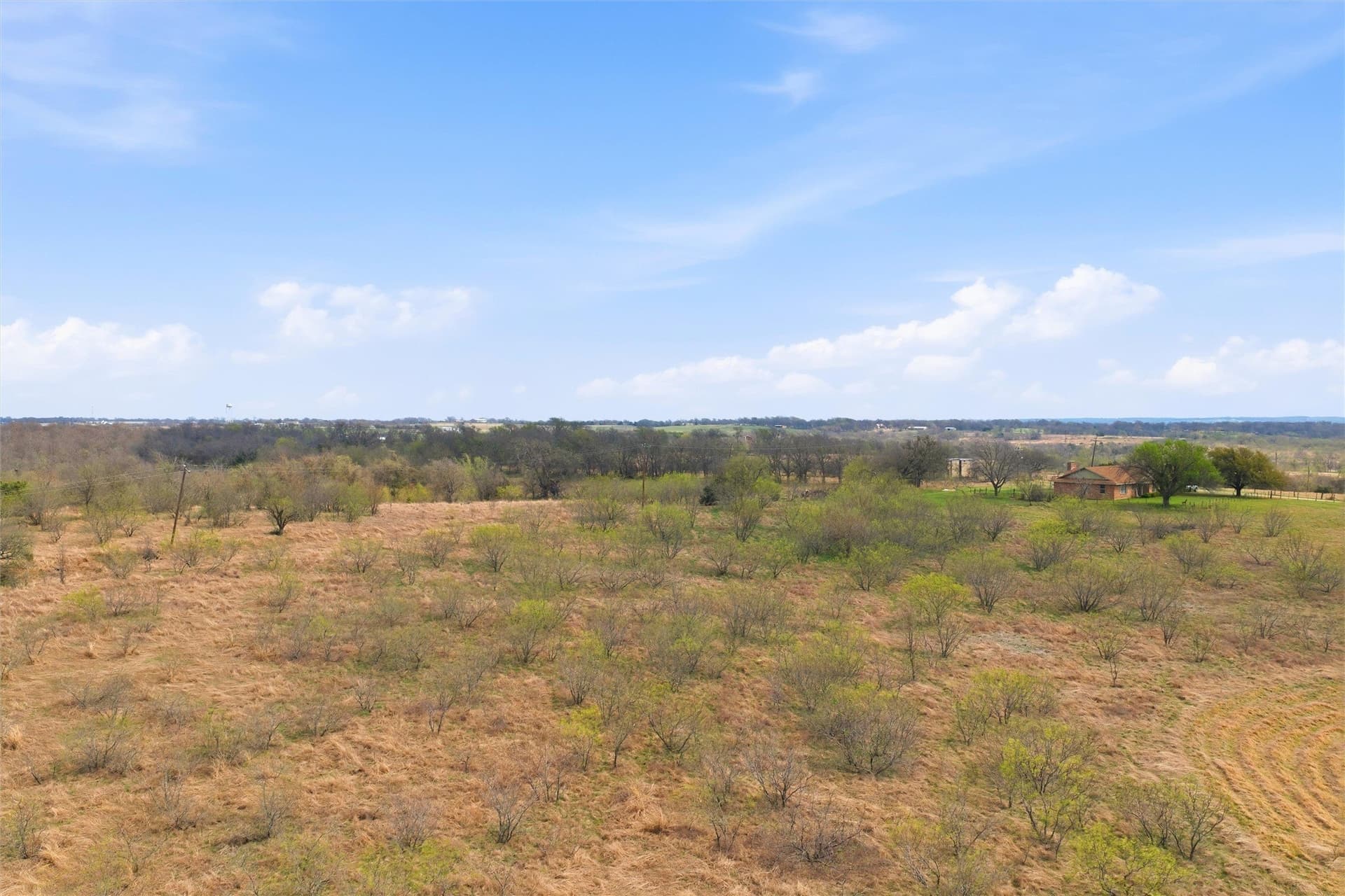 81.31 acres in McLennan County - photo 11
