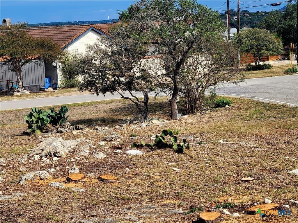 0.17 acres in Comal County gallery image 3