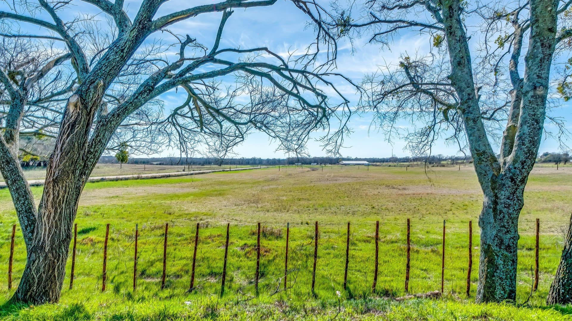 4 acres in Parker County - photo 10
