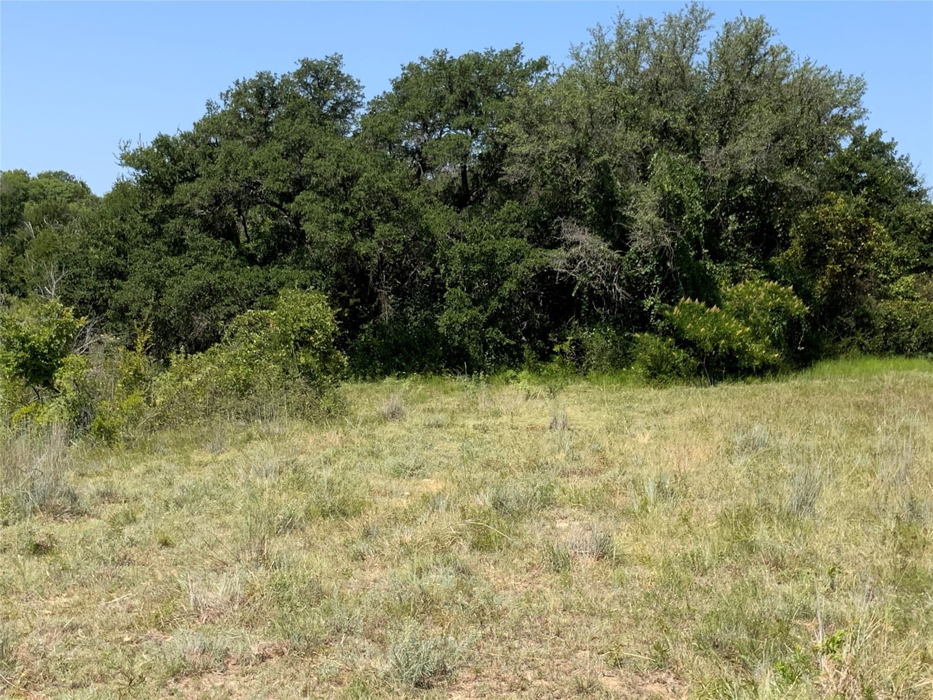 194.37 acres in Comanche County - photo 14