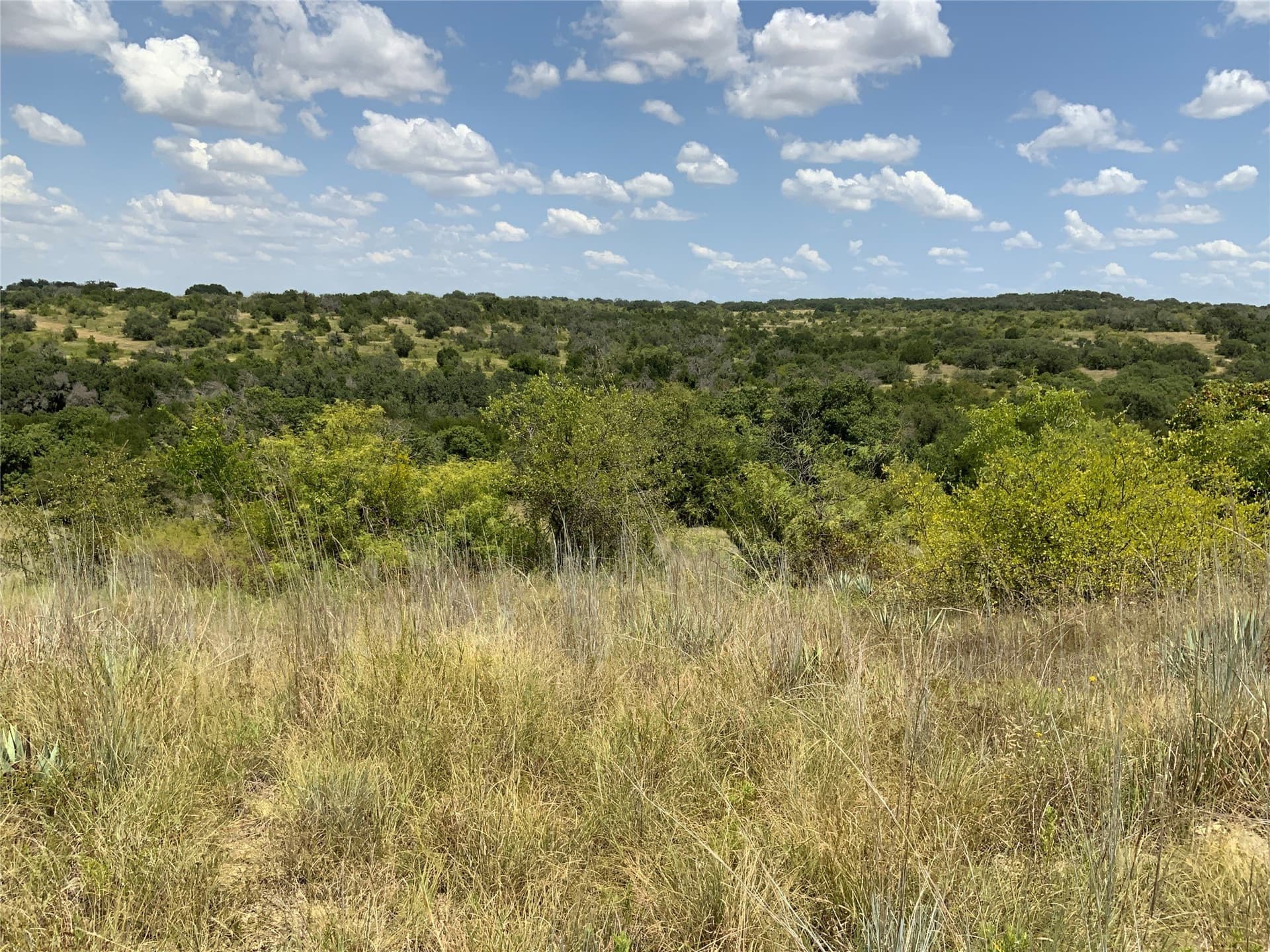 194.37 acres in Comanche County - photo 28