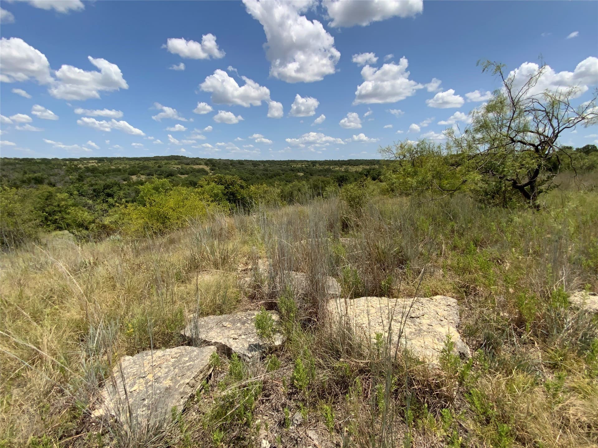 194.37 acres in Comanche County - photo 29
