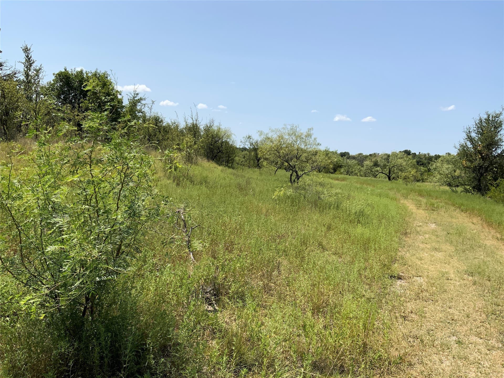 194.37 acres in Comanche County - photo 13