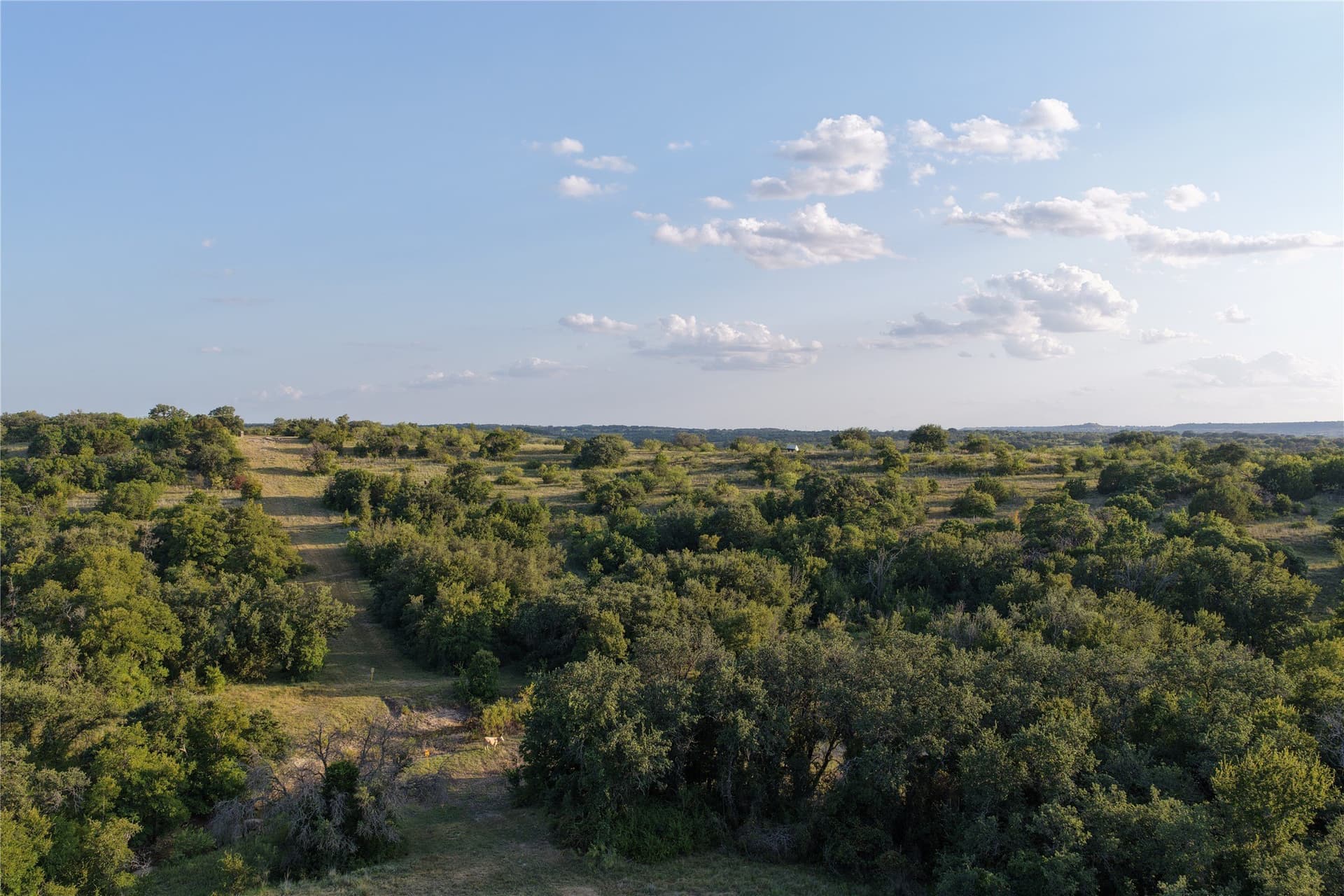 194.37 acres in Comanche County - photo 4
