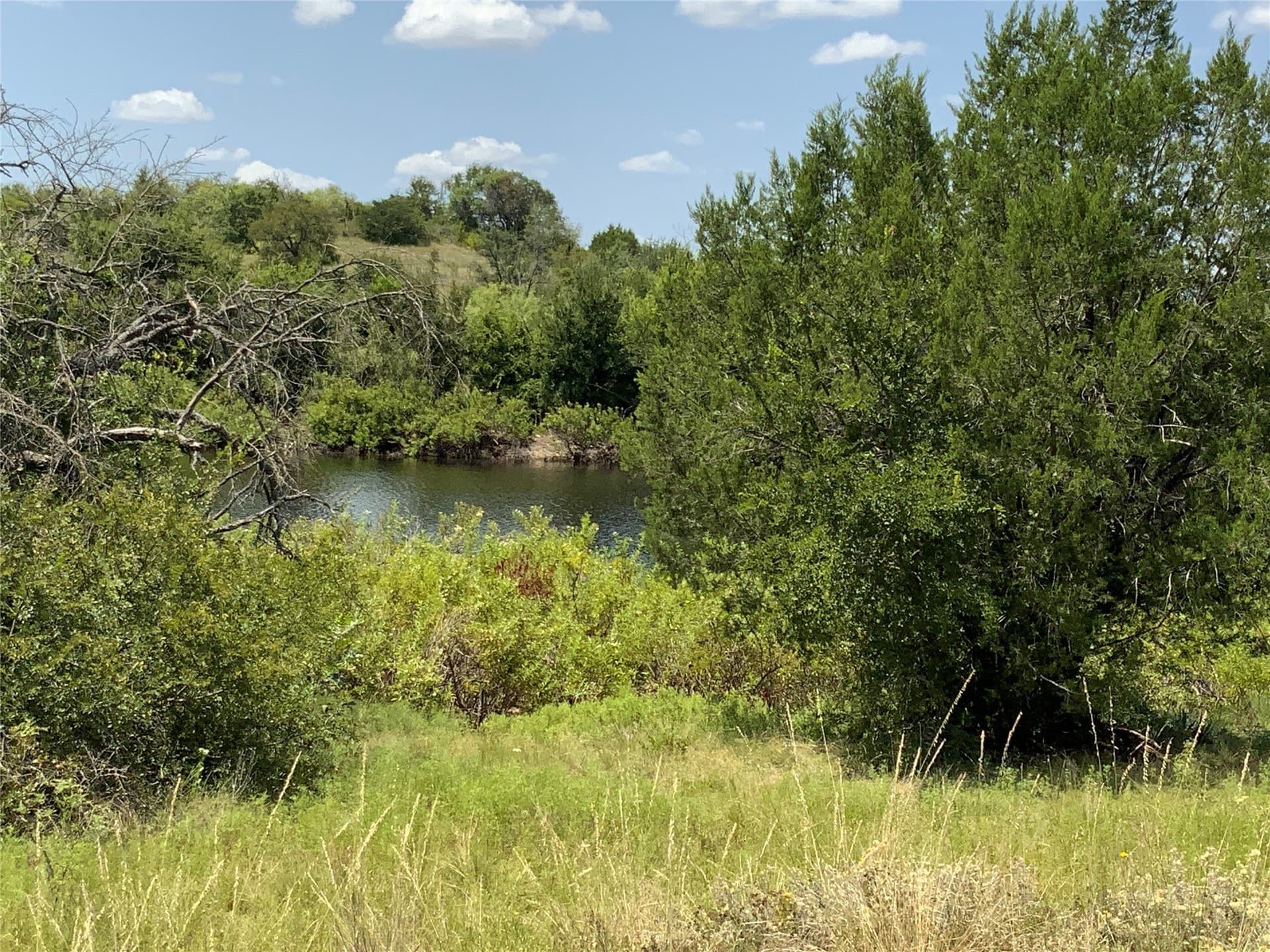 194.37 acres in Comanche County - photo 15