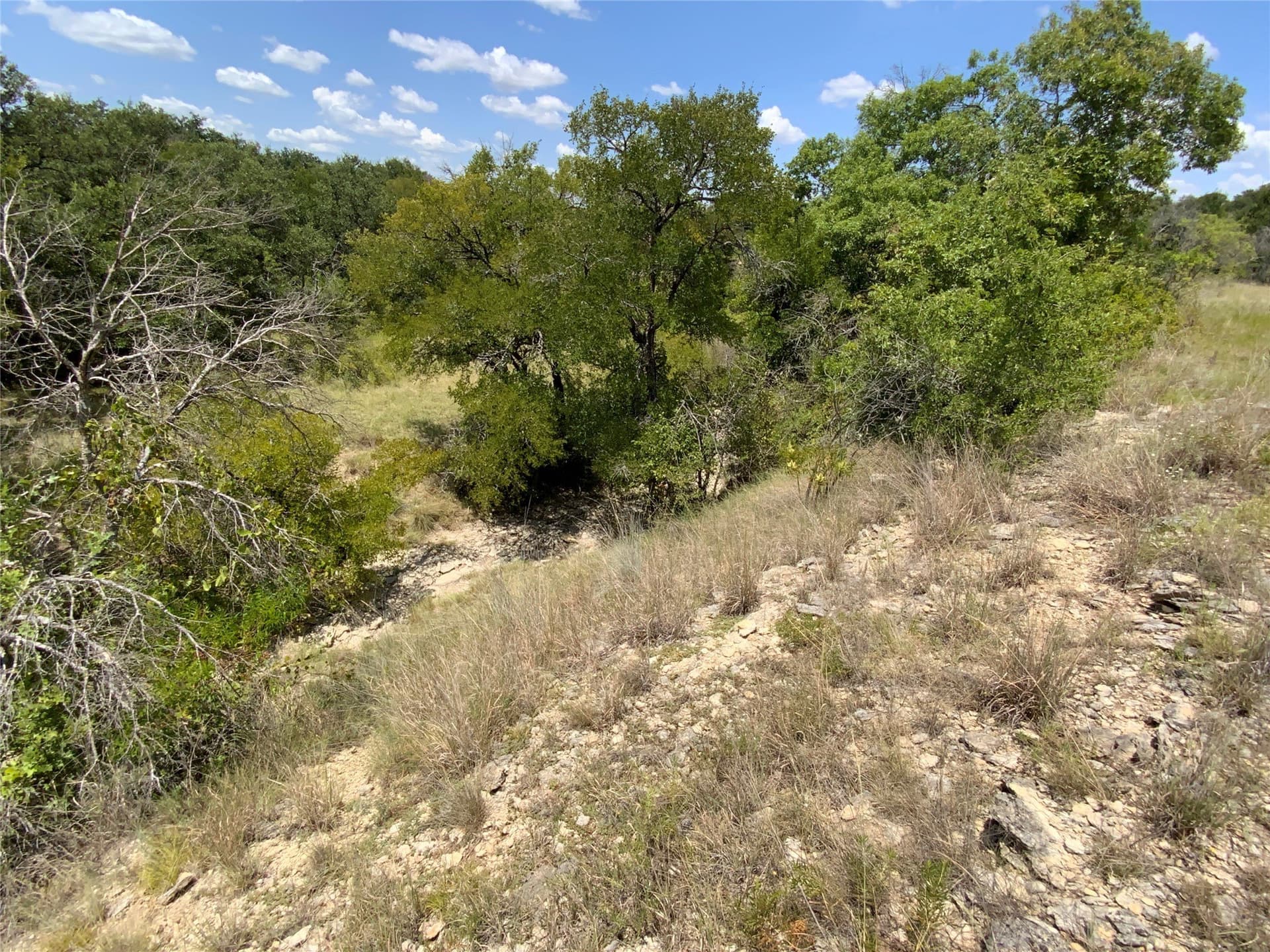 194.37 acres in Comanche County - photo 26