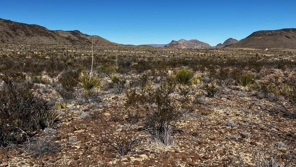 20 acres in Brewster County gallery image 2