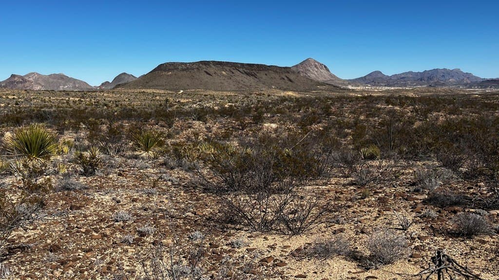 20 acres in Brewster County - photo 11