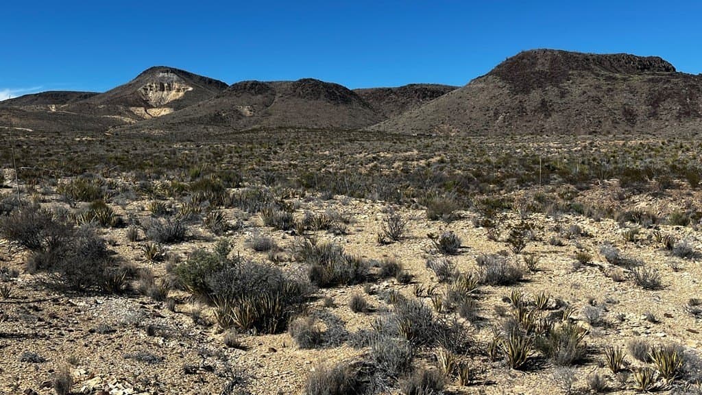 20 acres in Brewster County - photo 12