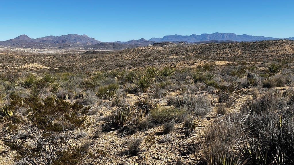 20 acres in Brewster County - photo 7