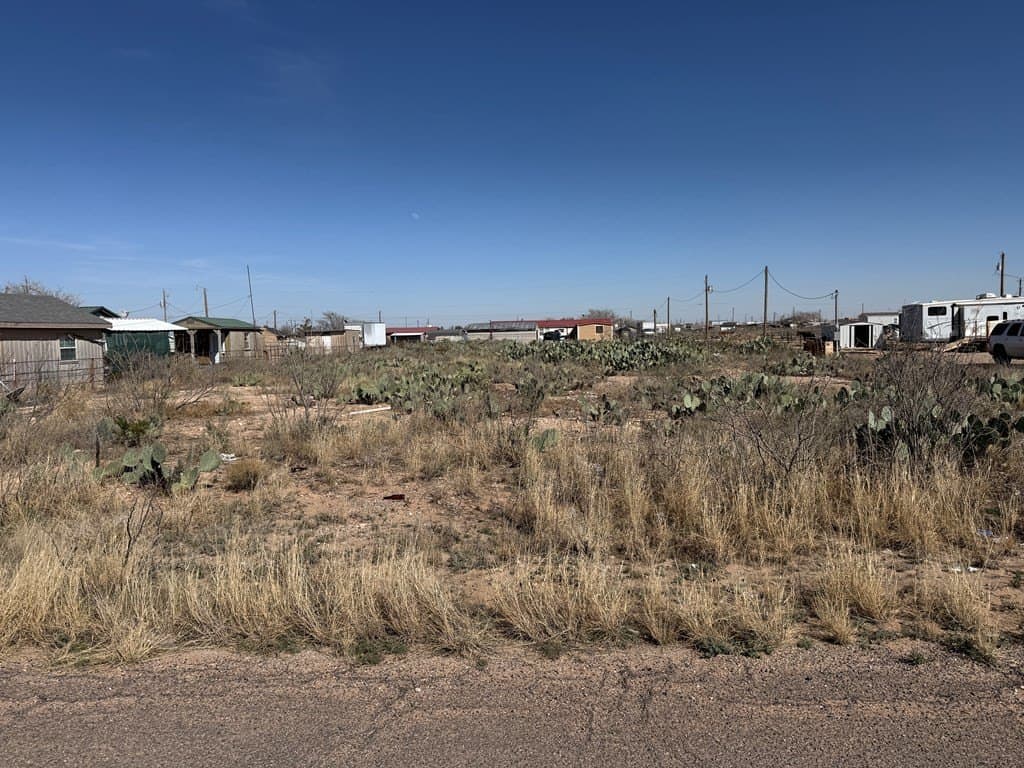 0.78 acres in Ector County gallery image 3