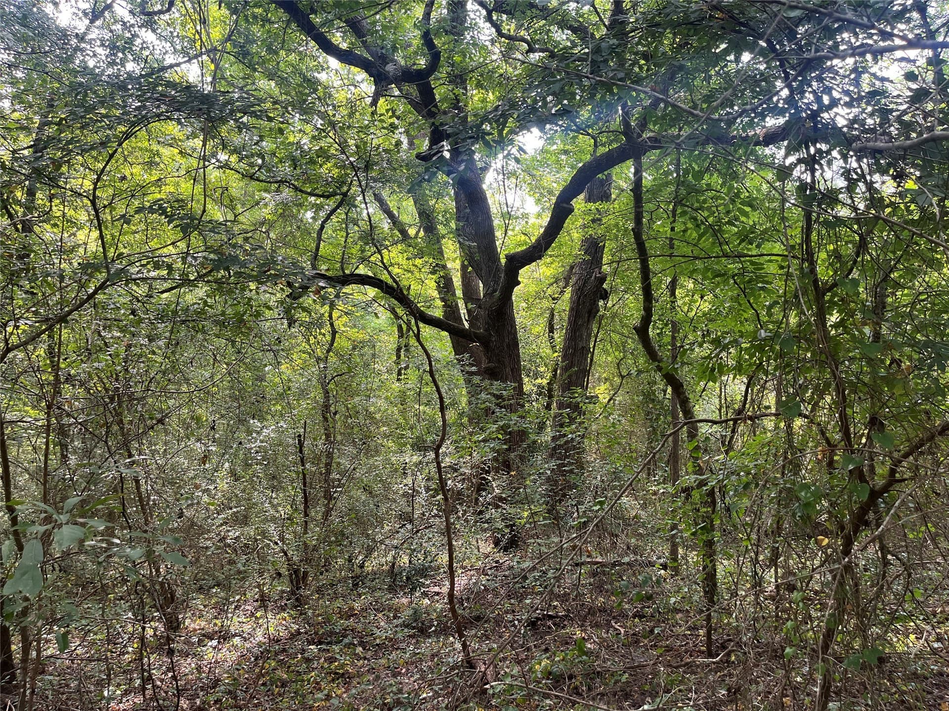 117.2 acres in Cherokee County - photo 37
