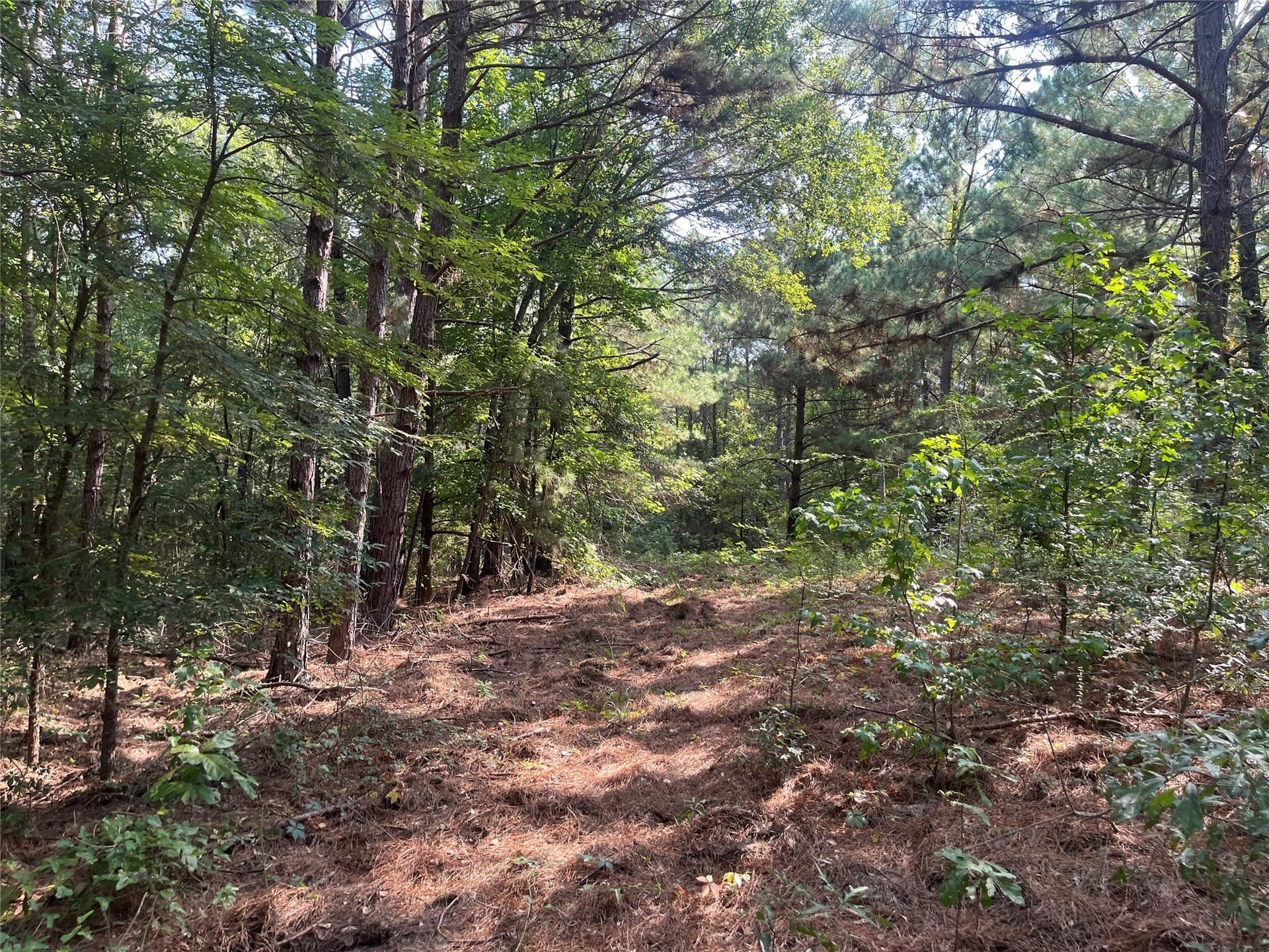 117.2 acres in Cherokee County - photo 9