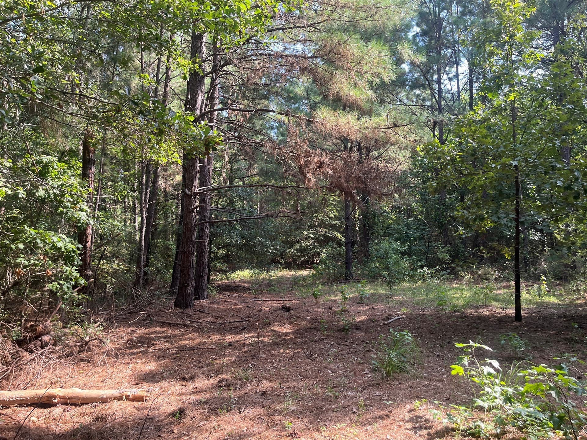 117.2 acres in Cherokee County - photo 11