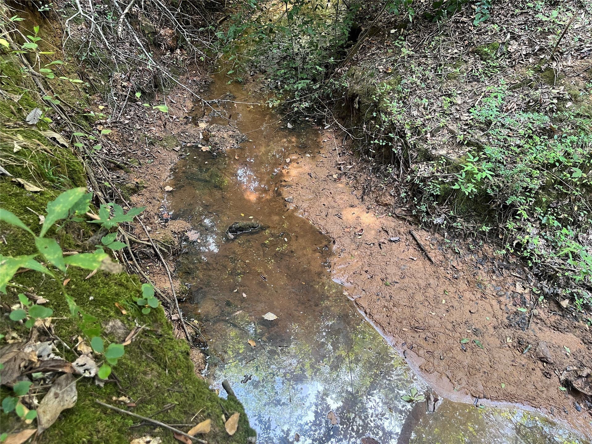 117.2 acres in Cherokee County - photo 21