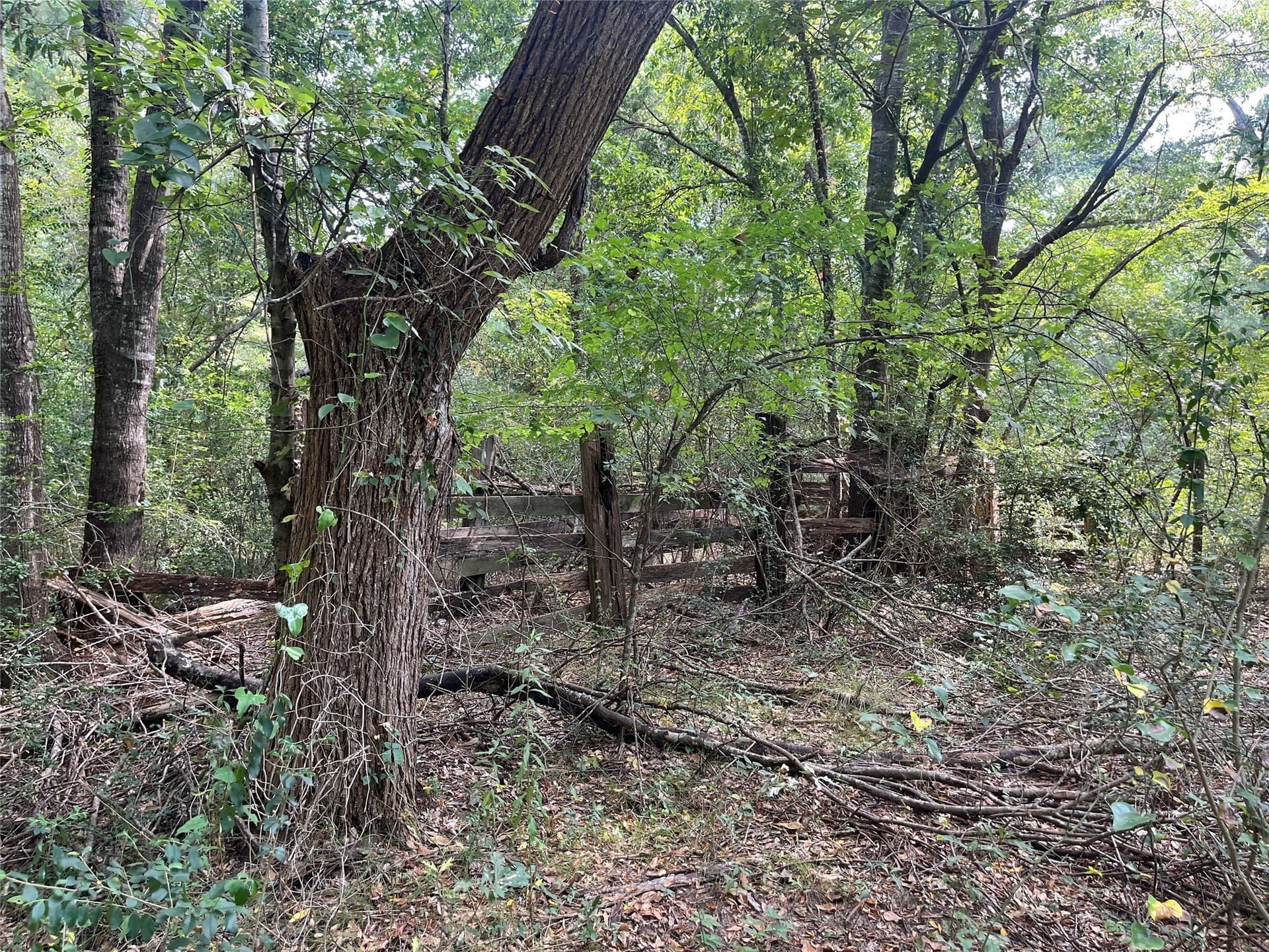 117.2 acres in Cherokee County - photo 36