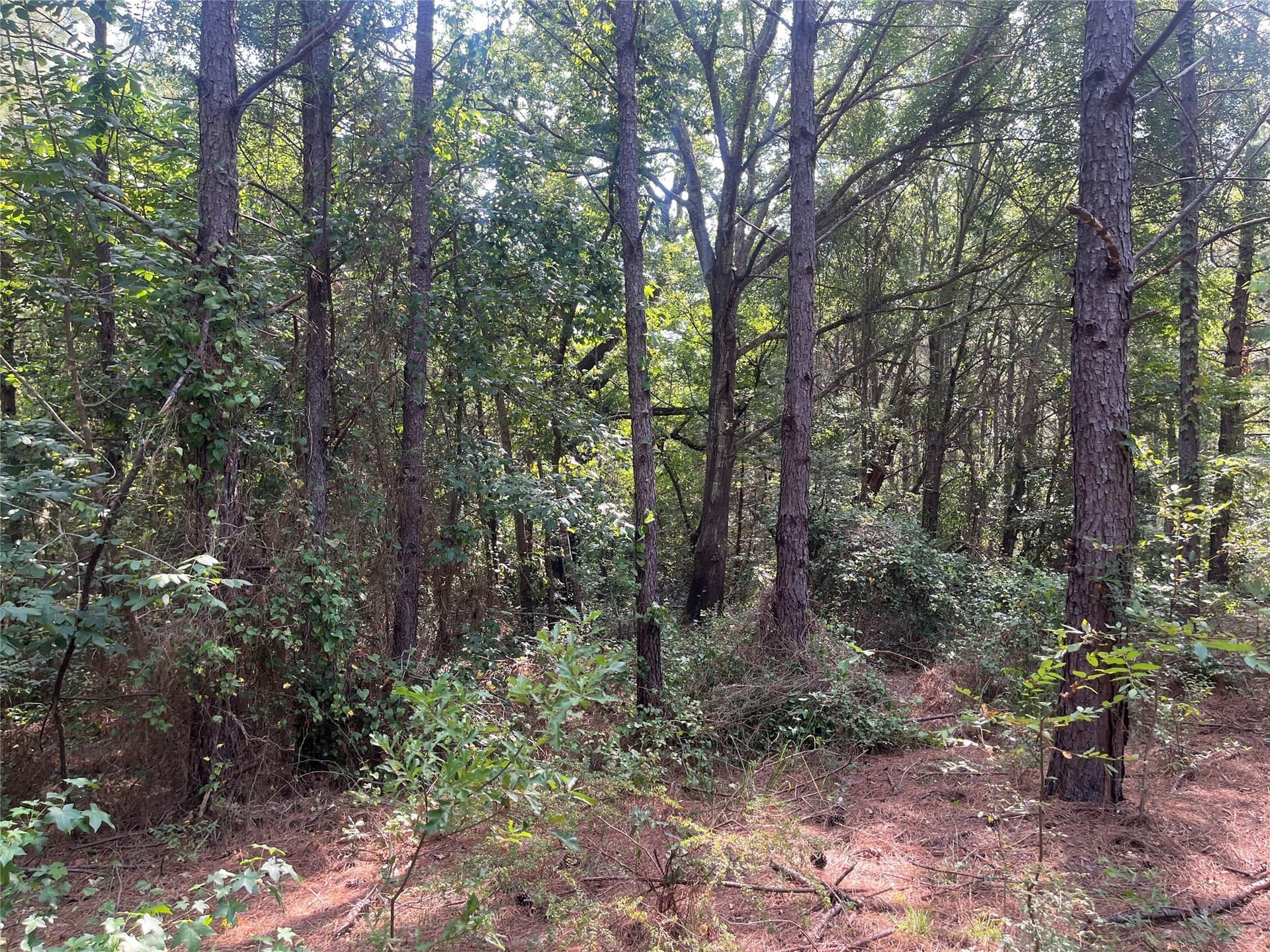 117.2 acres in Cherokee County - photo 13