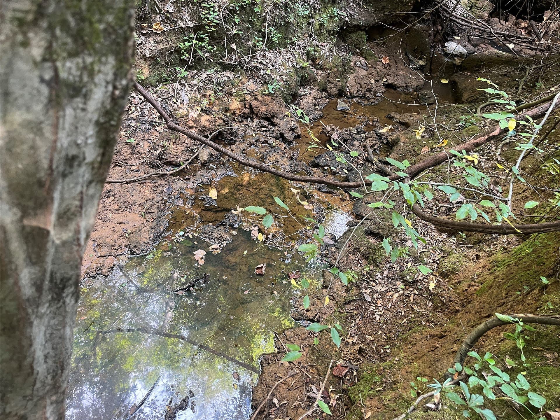 117.2 acres in Cherokee County - photo 22