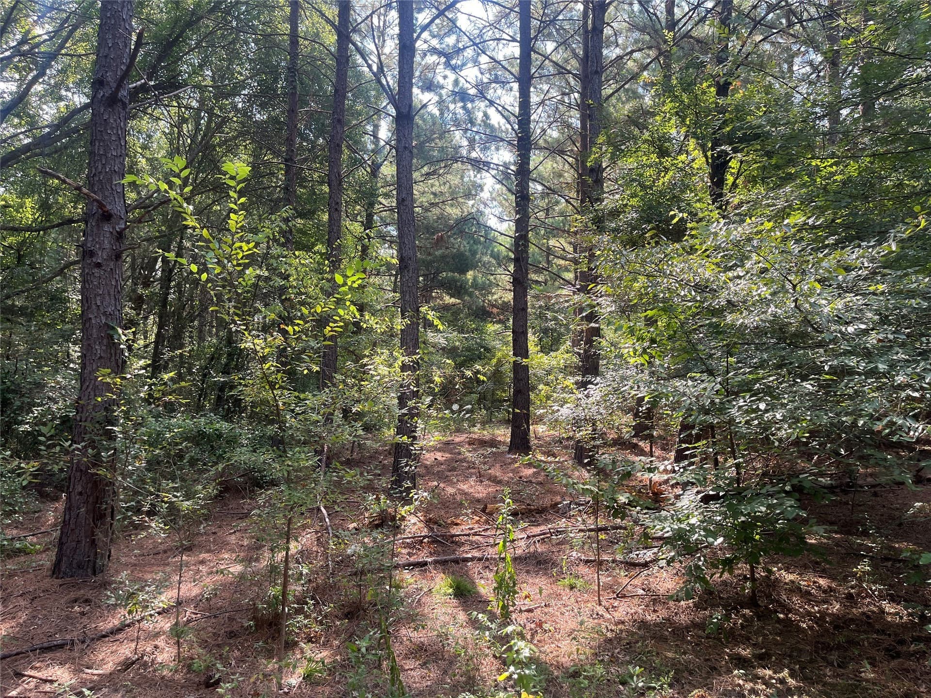 117.2 acres in Cherokee County - photo 12