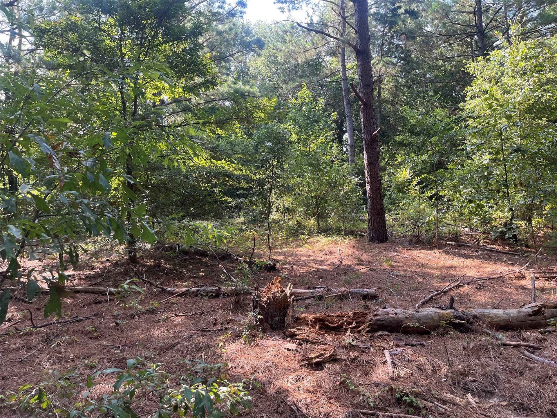 117.2 acres in Cherokee County - photo 10