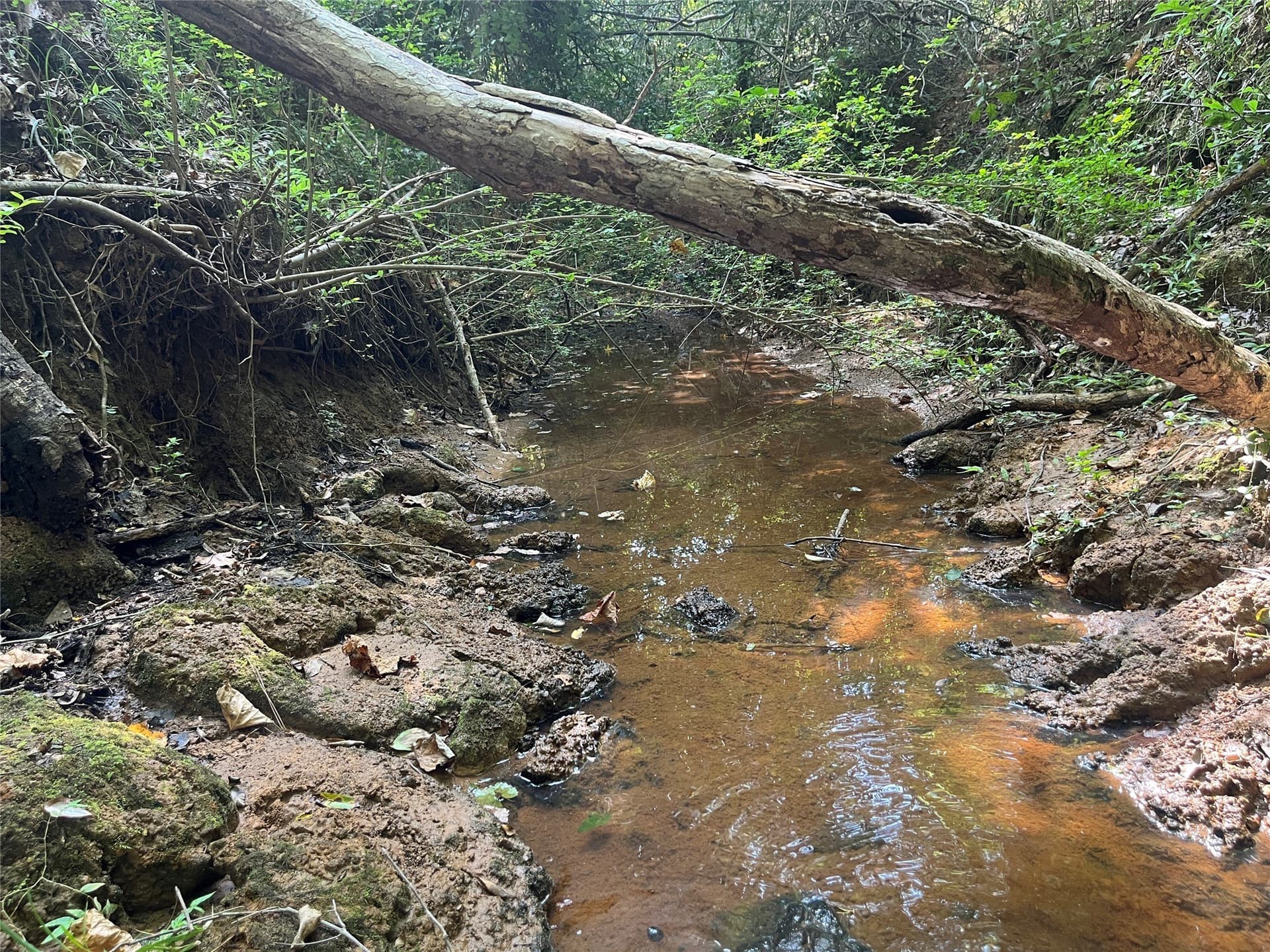 117.2 acres in Cherokee County - photo 25