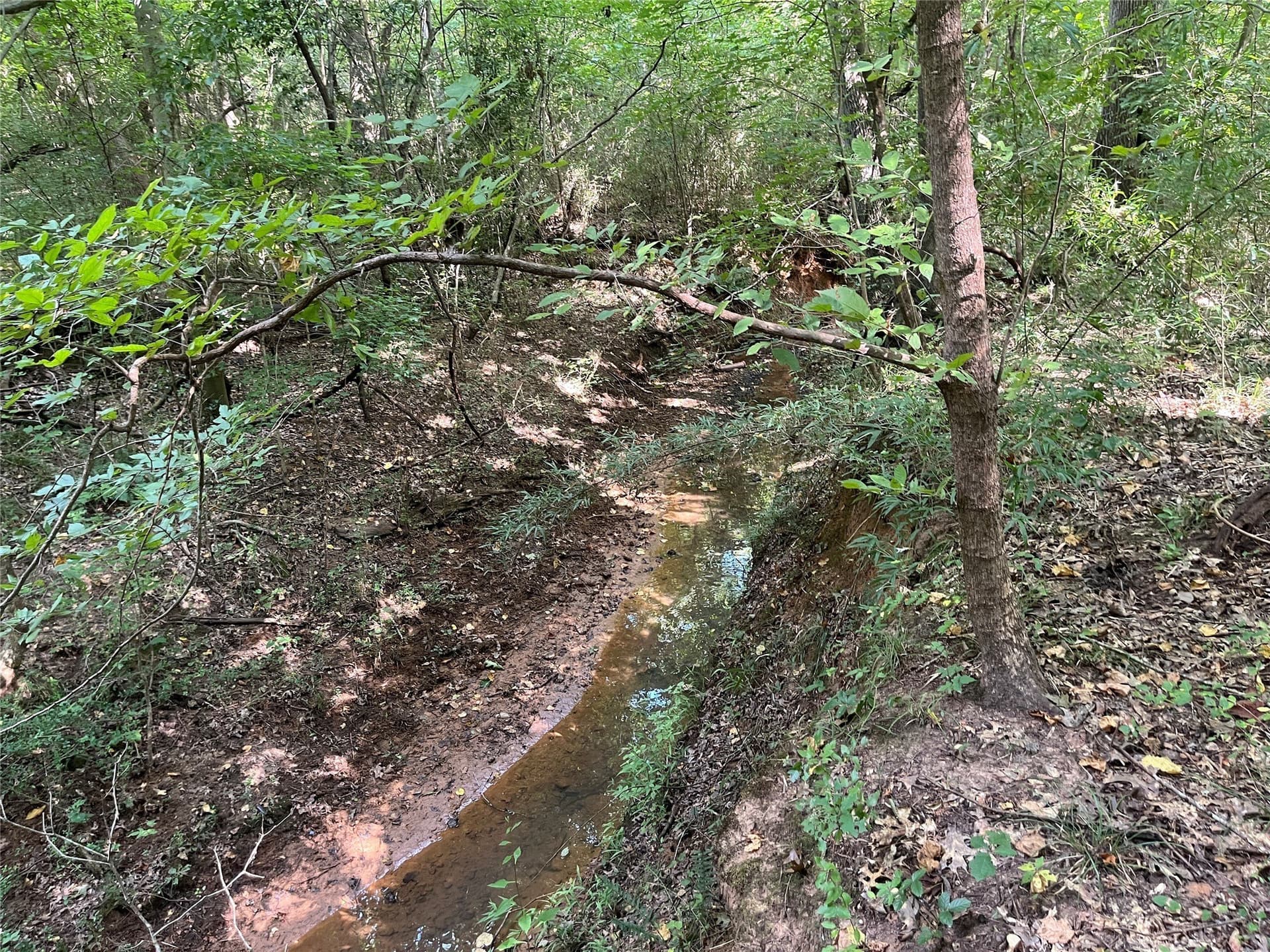 117.2 acres in Cherokee County - photo 32
