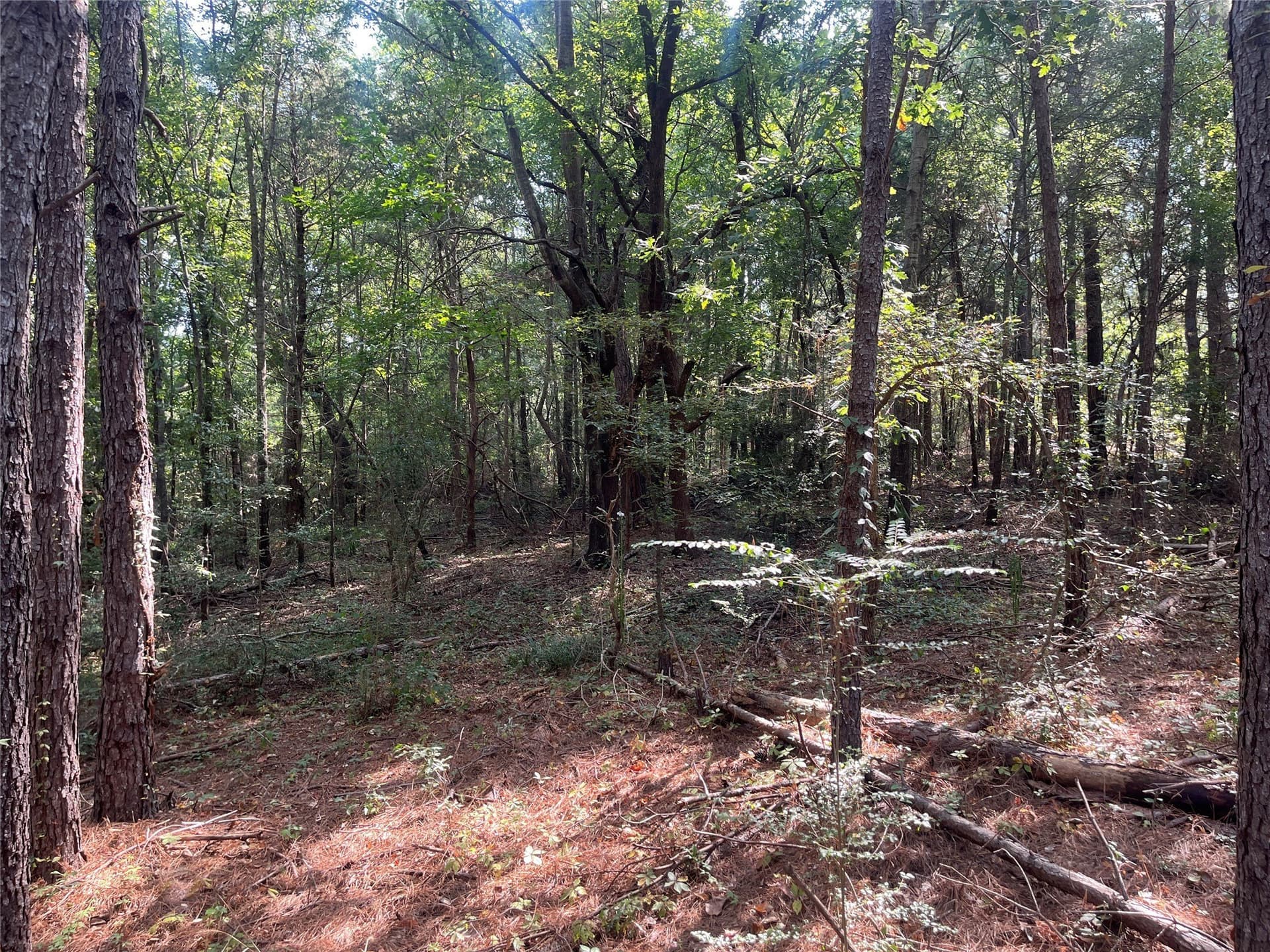 117.2 acres in Cherokee County - photo 6