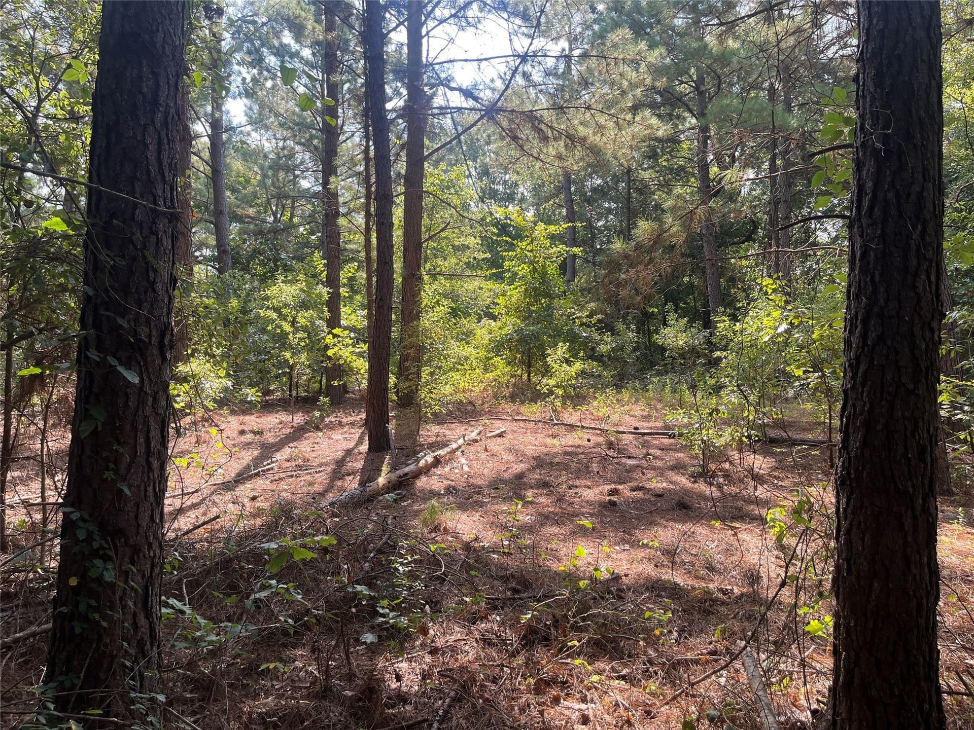 117.2 acres in Cherokee County - photo 7