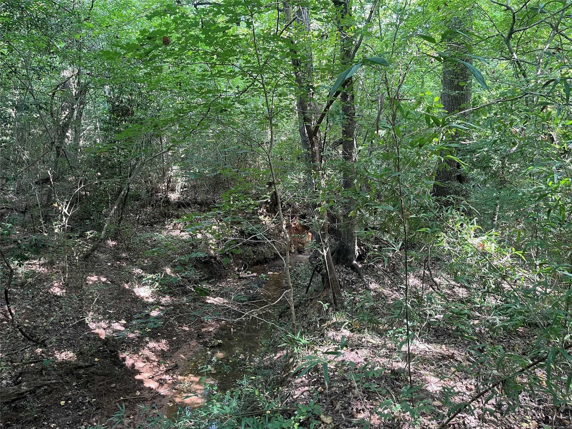 117.2 acres in Cherokee County - photo 34