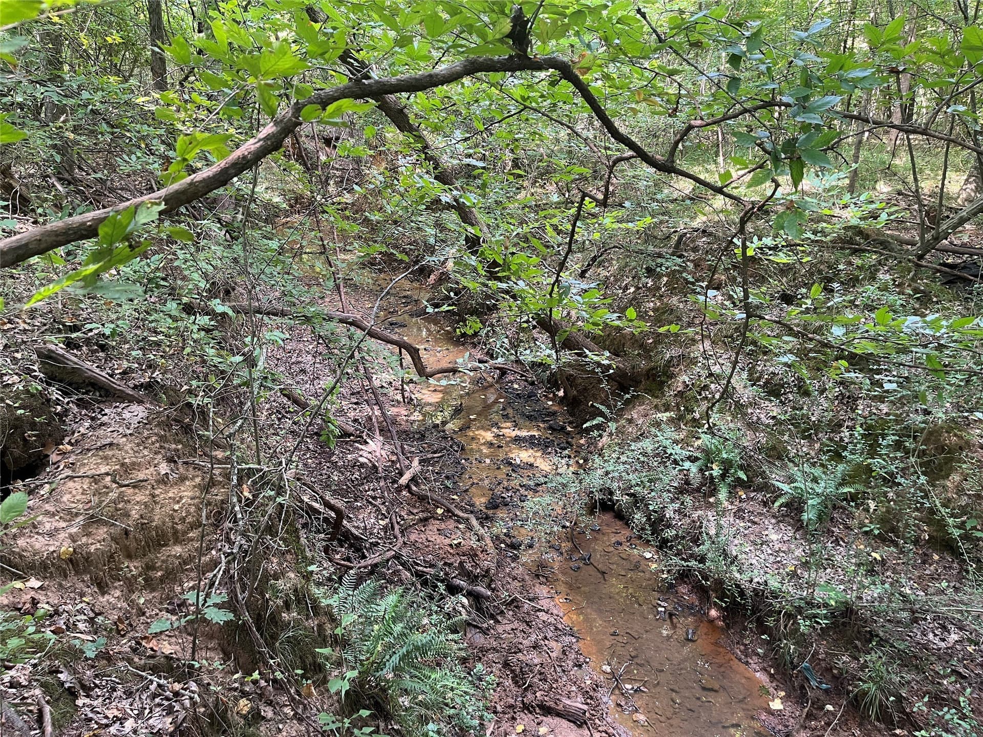 117.2 acres in Cherokee County - photo 33