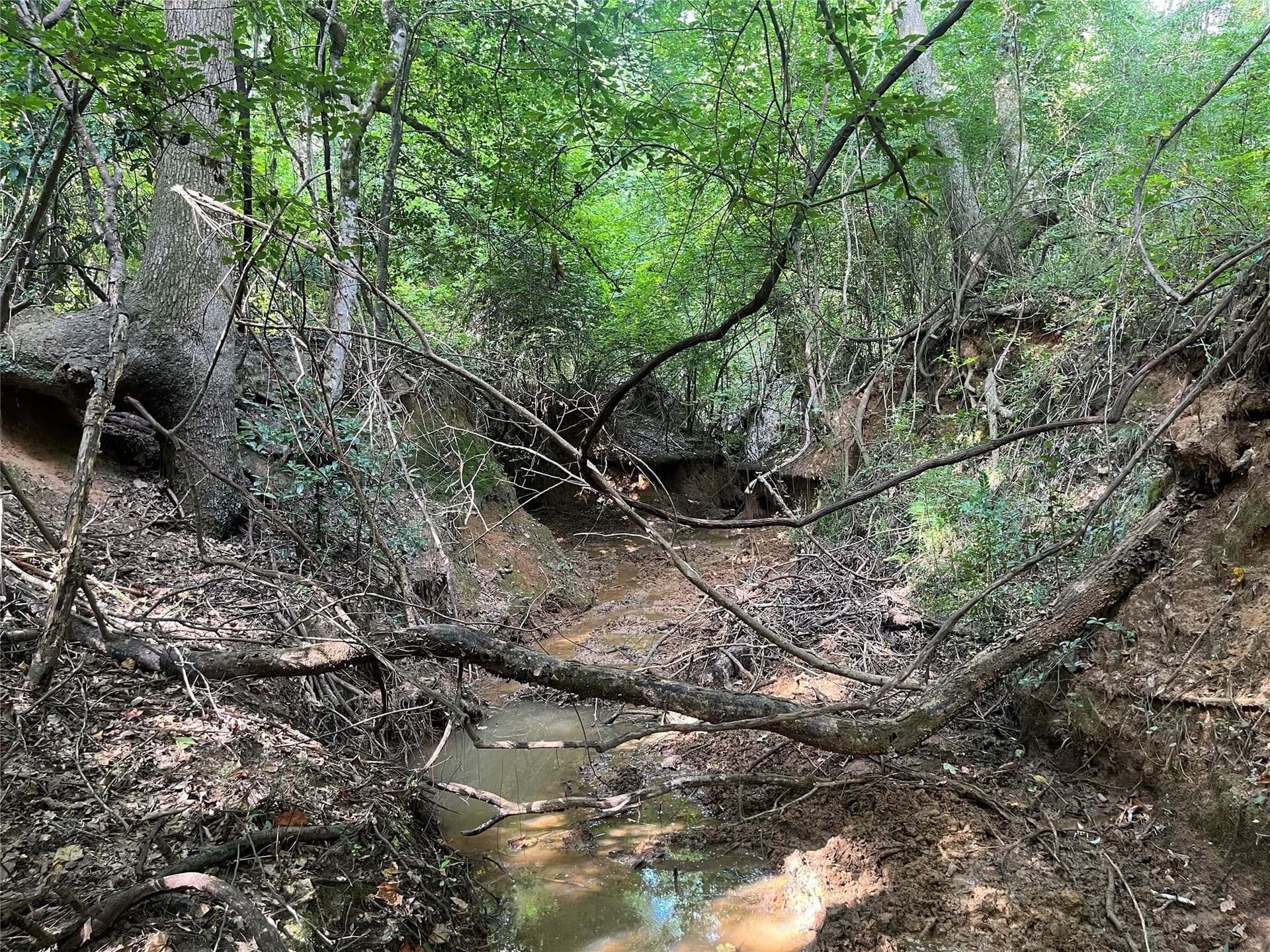 117.2 acres in Cherokee County - photo 28